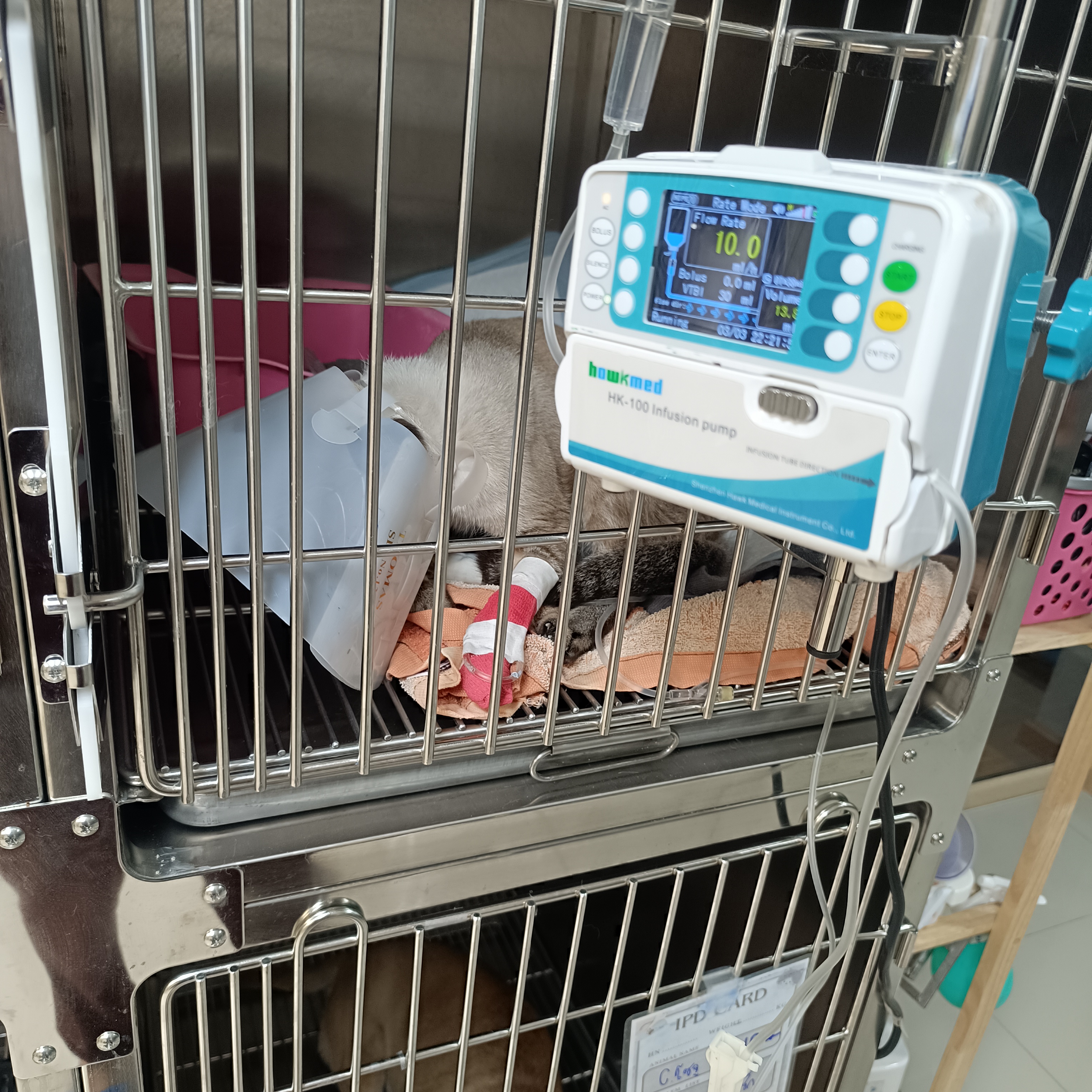 Muanjai Animal Hospital