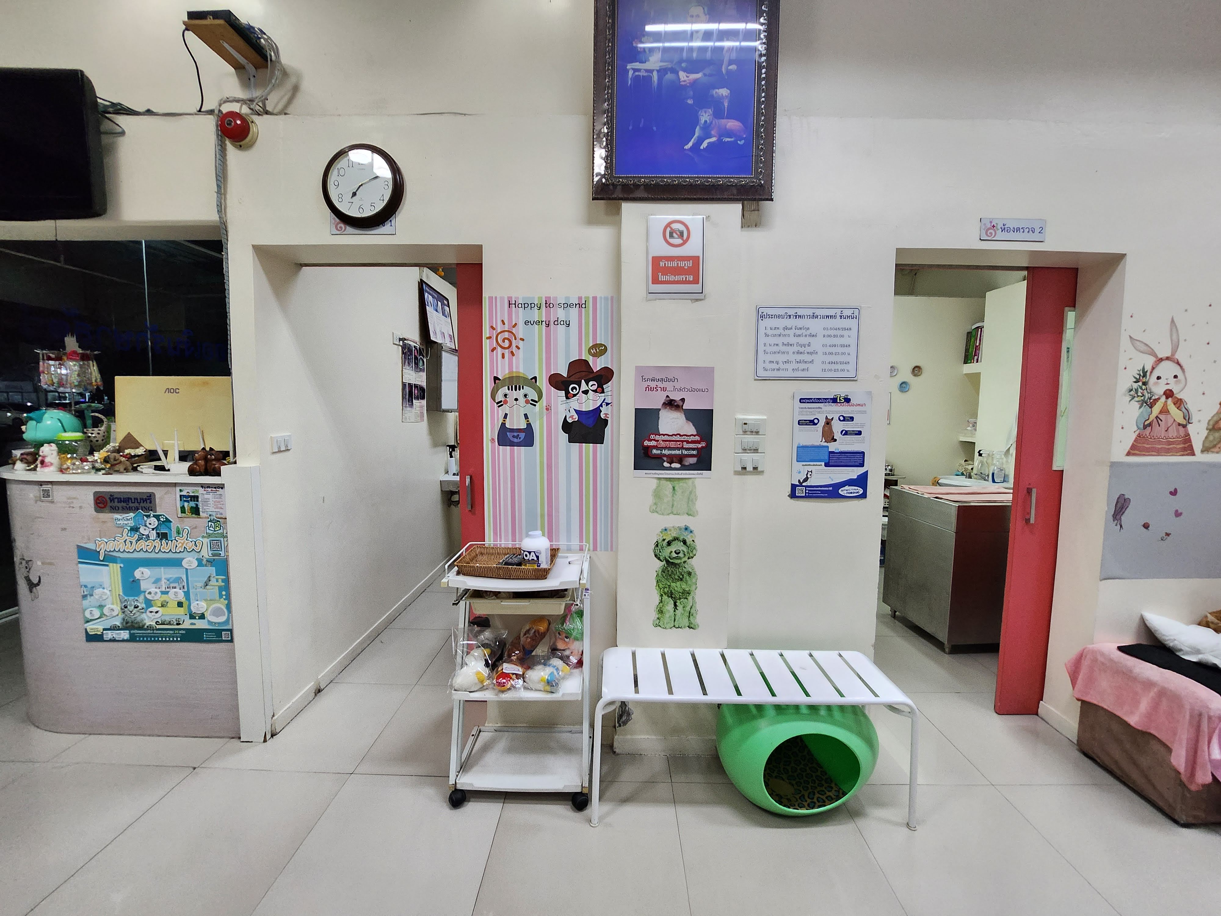 Animal Medicine
