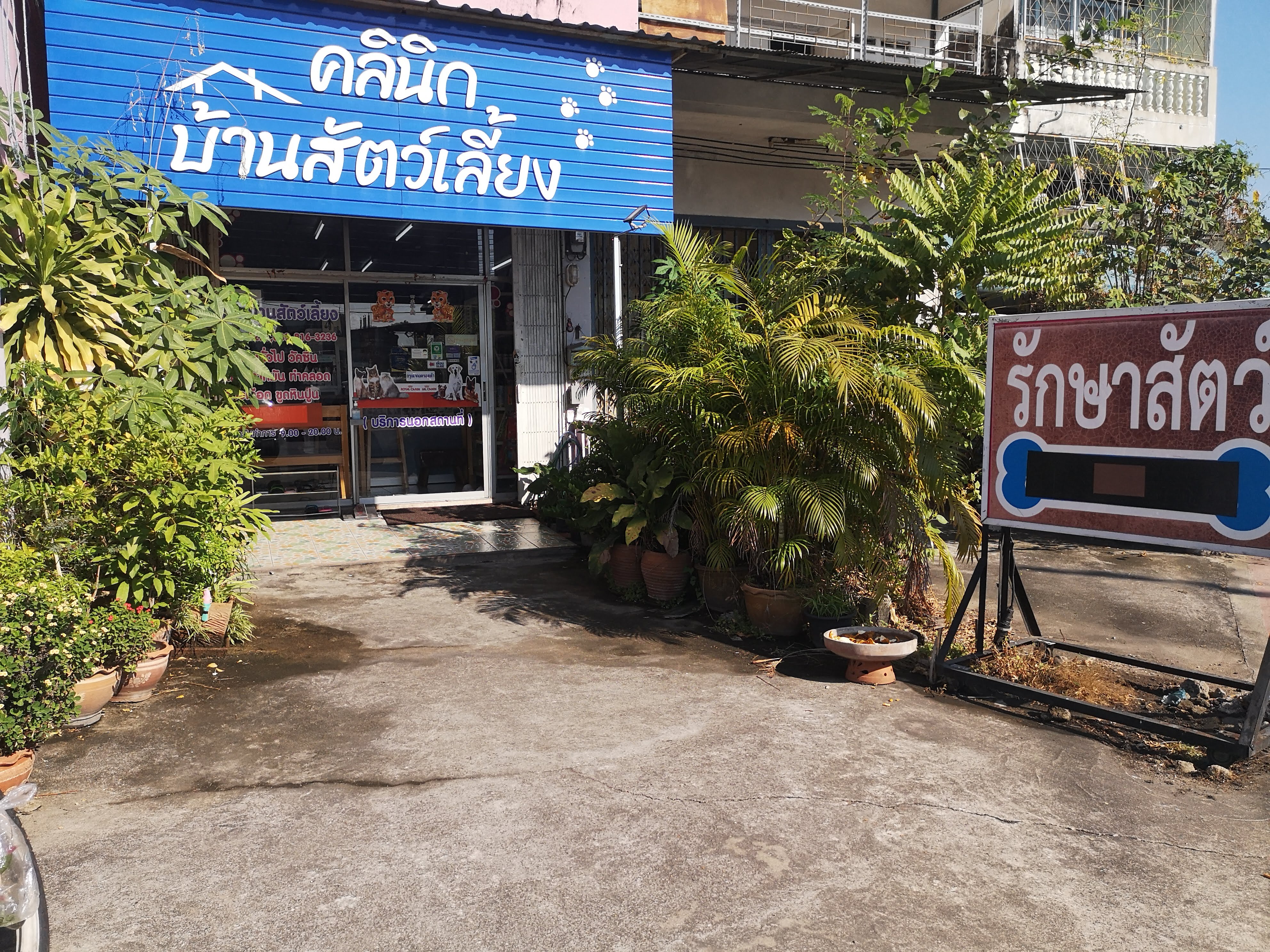 Pet Home Clinic Animal Treatment