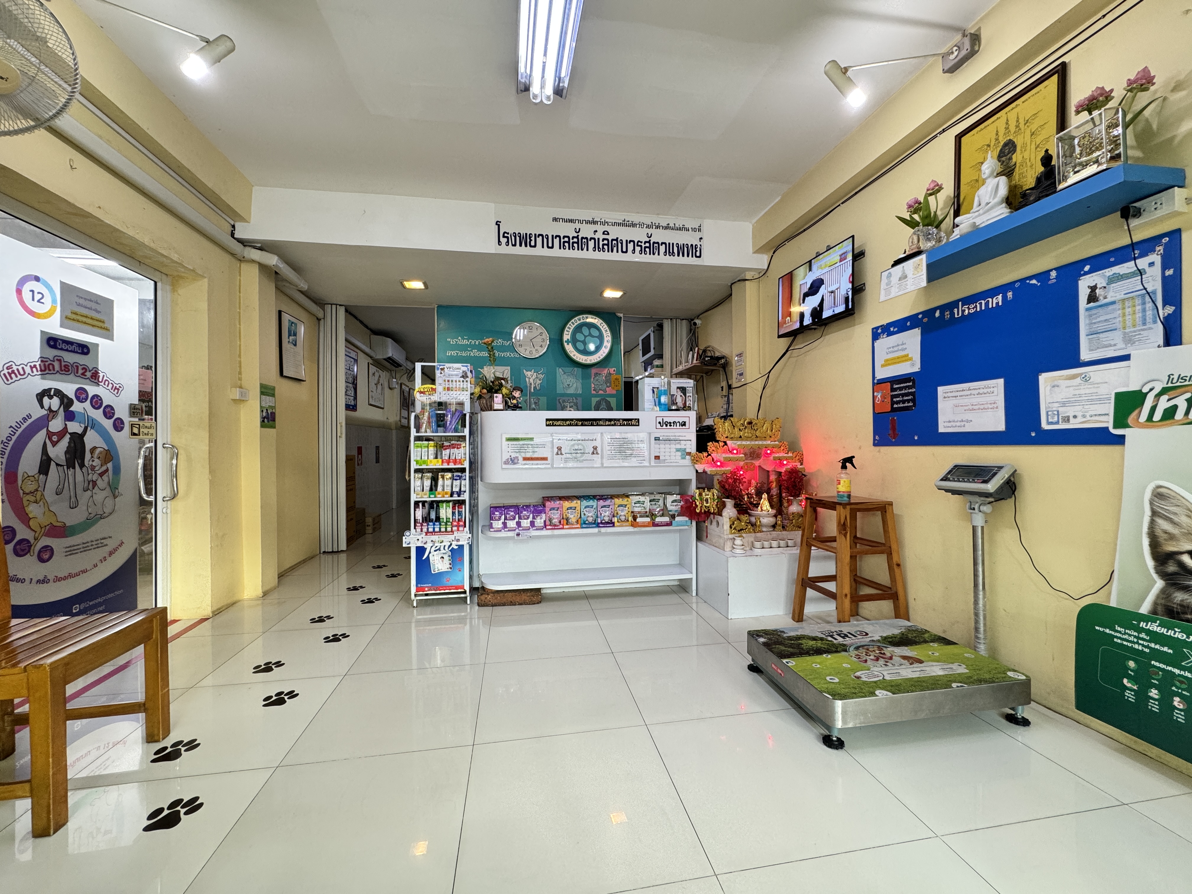 Veterinary Animal Hospital