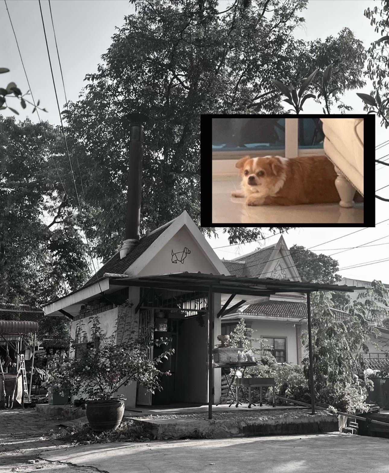 Prakha Uthit Animal Hospital