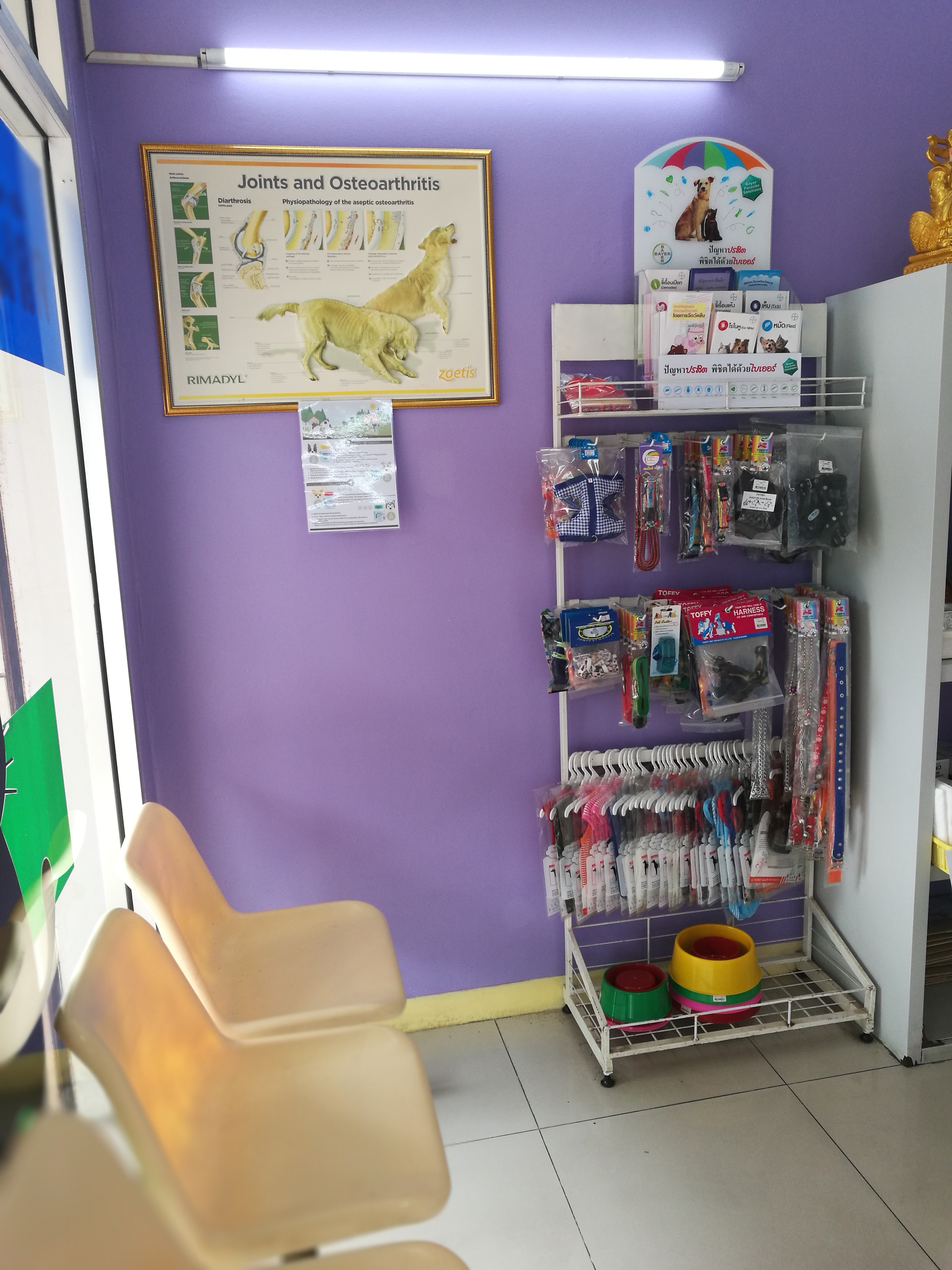 Chinkhet Veterinary Clinic