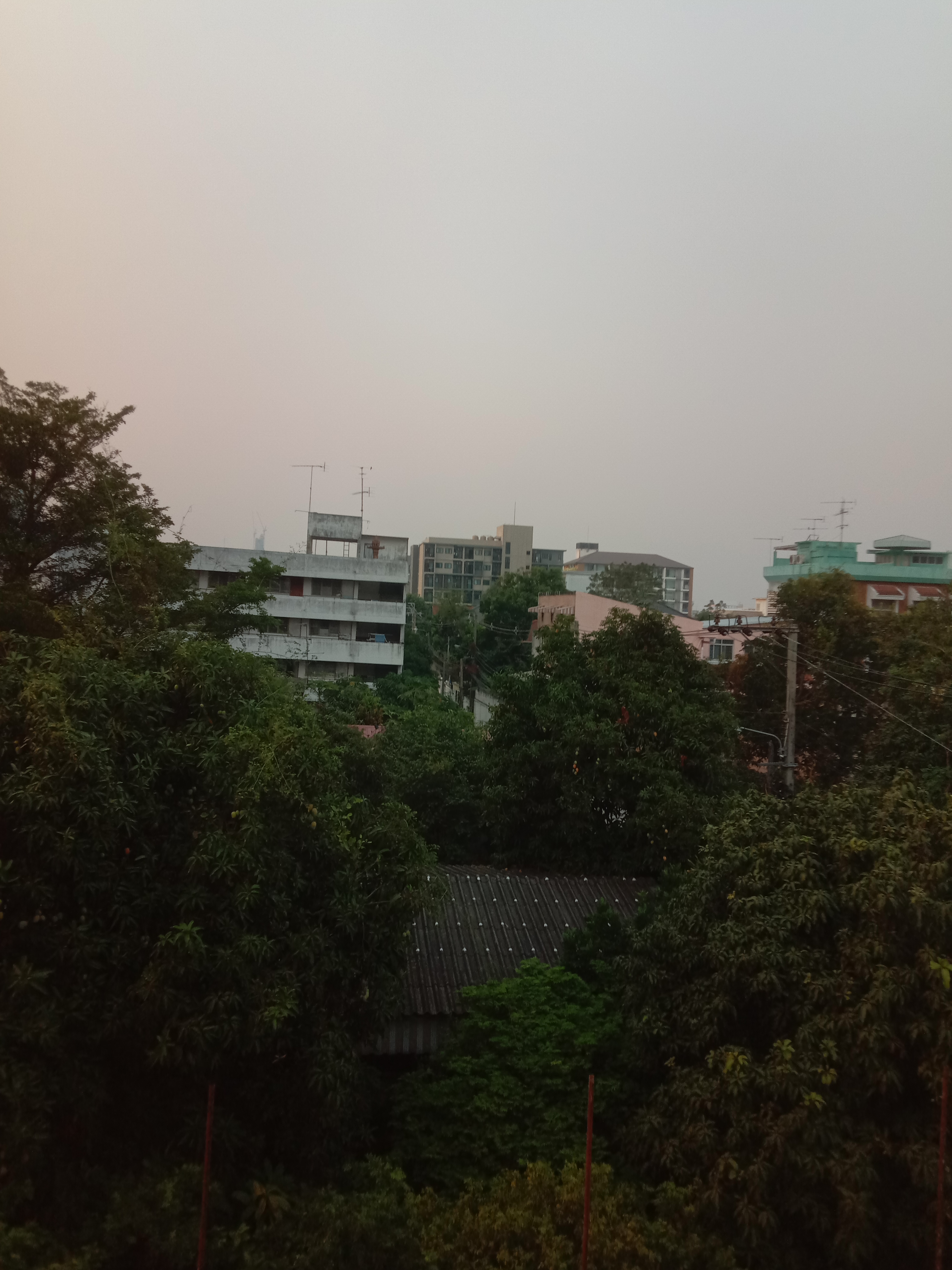 Punnawitha Veterinary Path