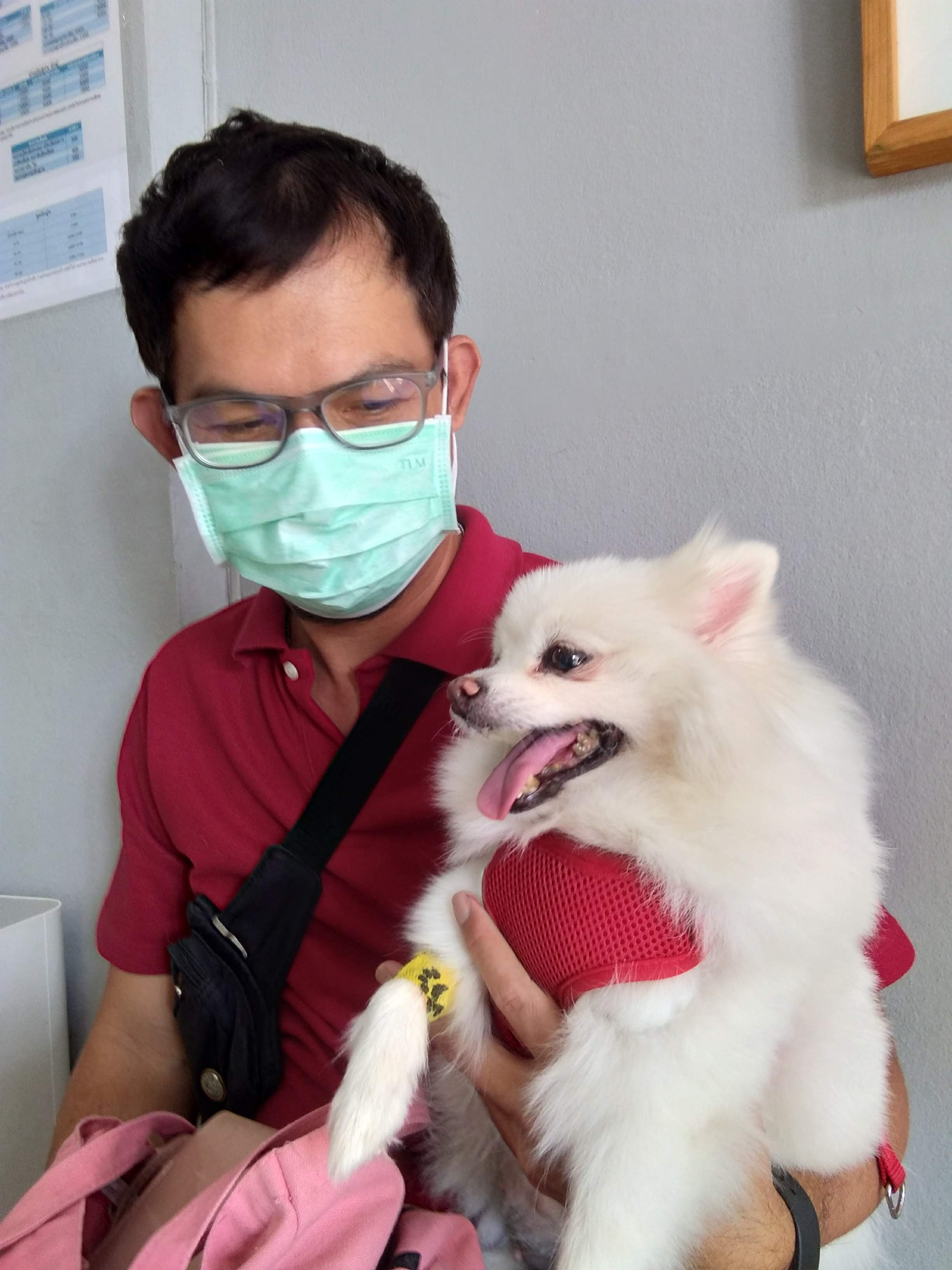 Dr. Mon Clinic Loves Animals