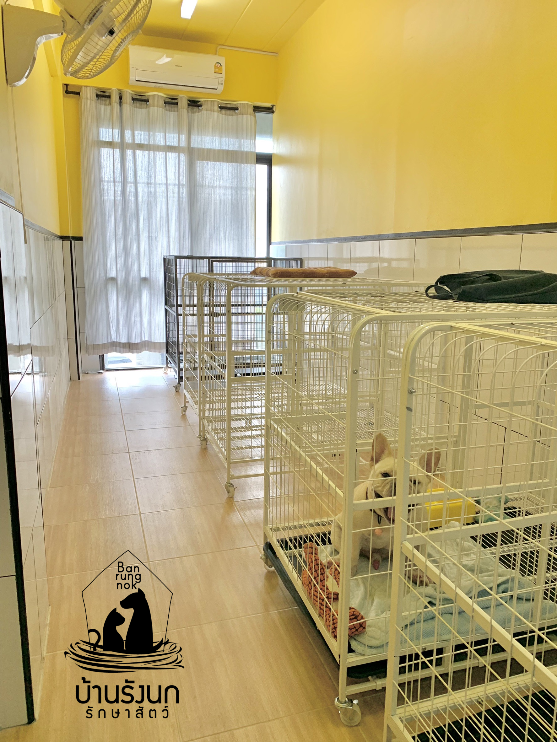Bird's Nest House Animal Treatment