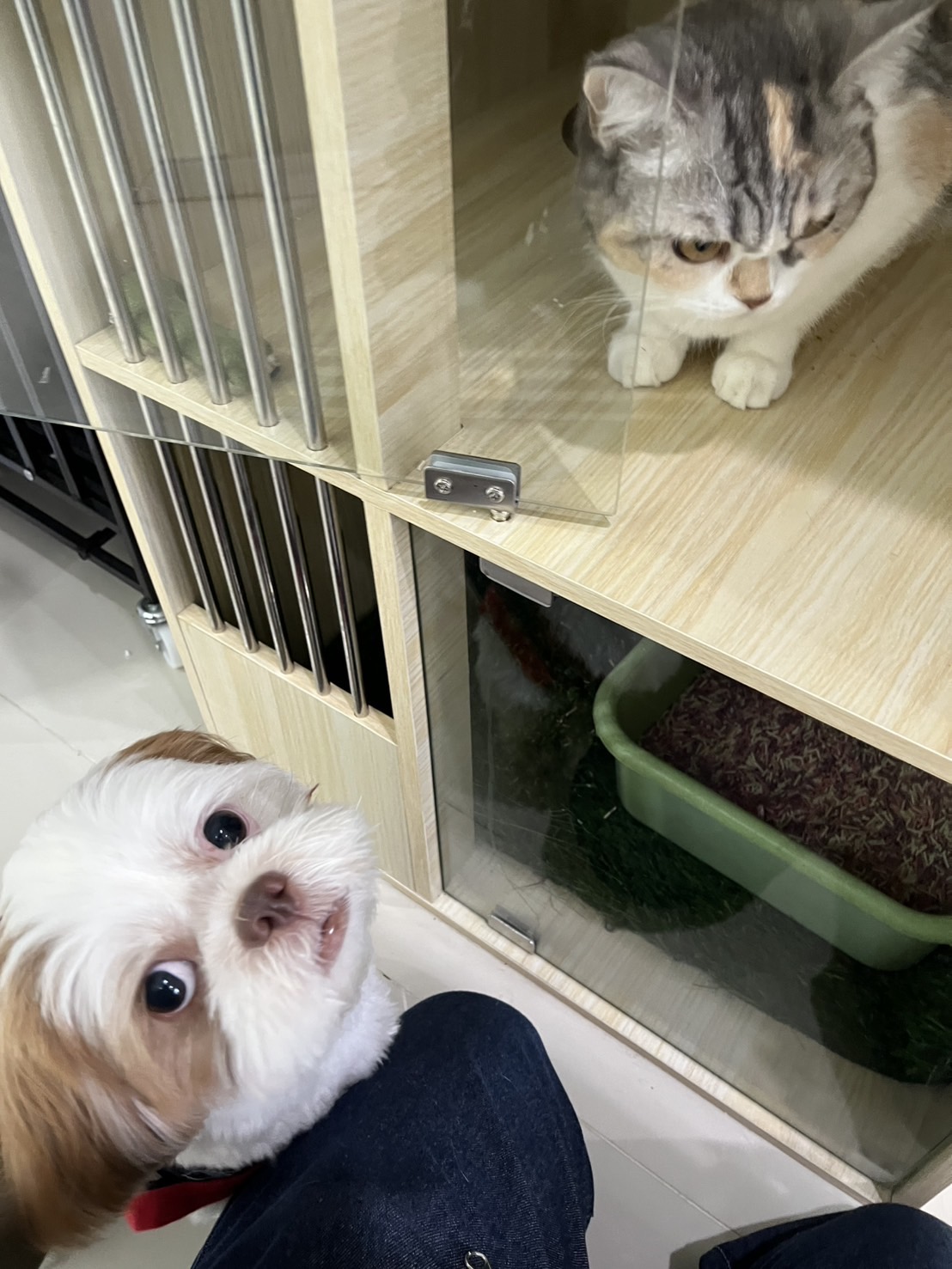 Nantiya Animal treatment