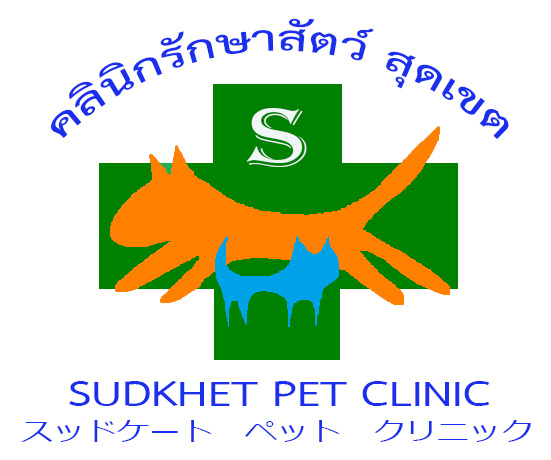 Animal Clinic End of the District