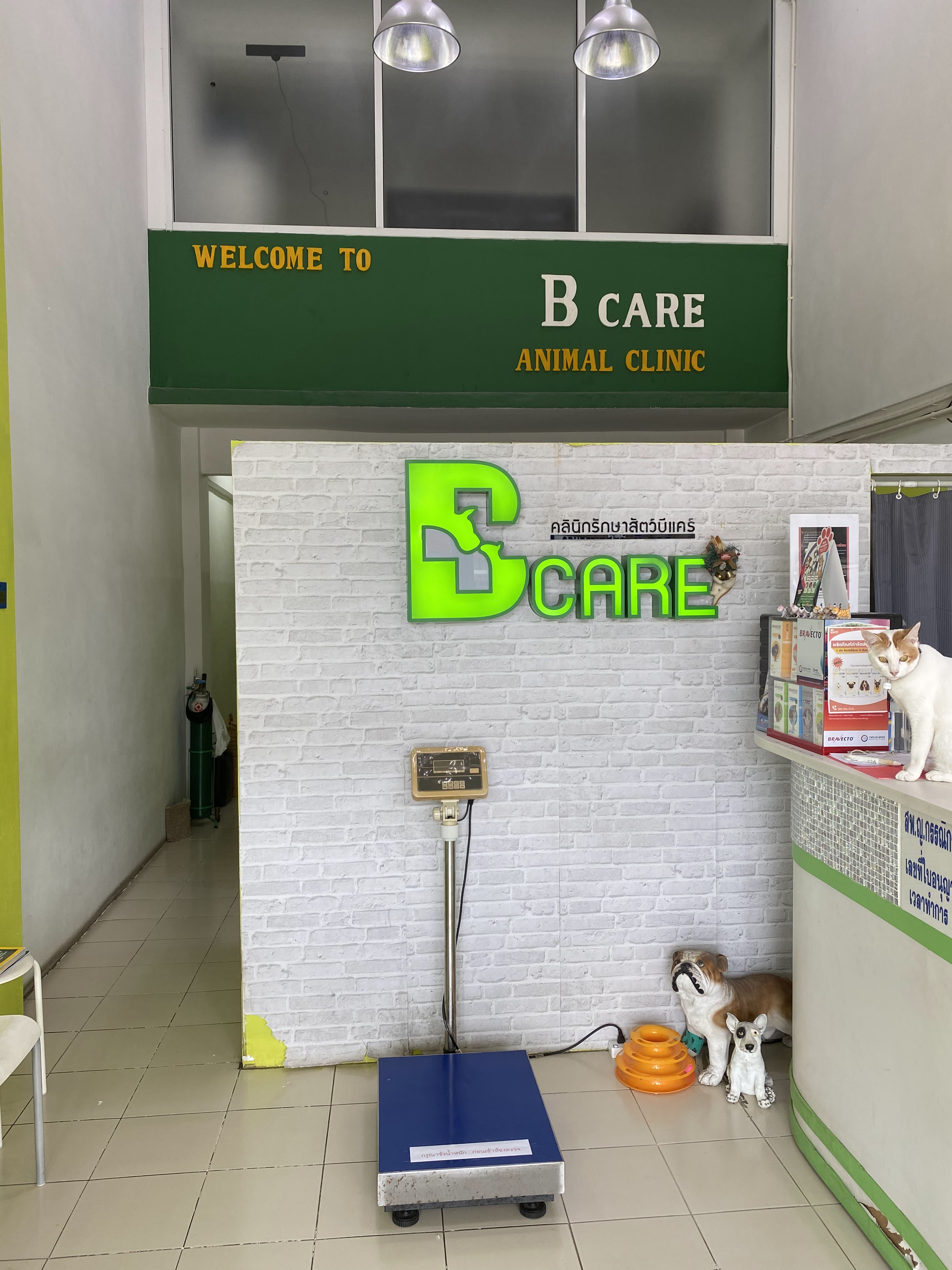Becare Animal Clinic