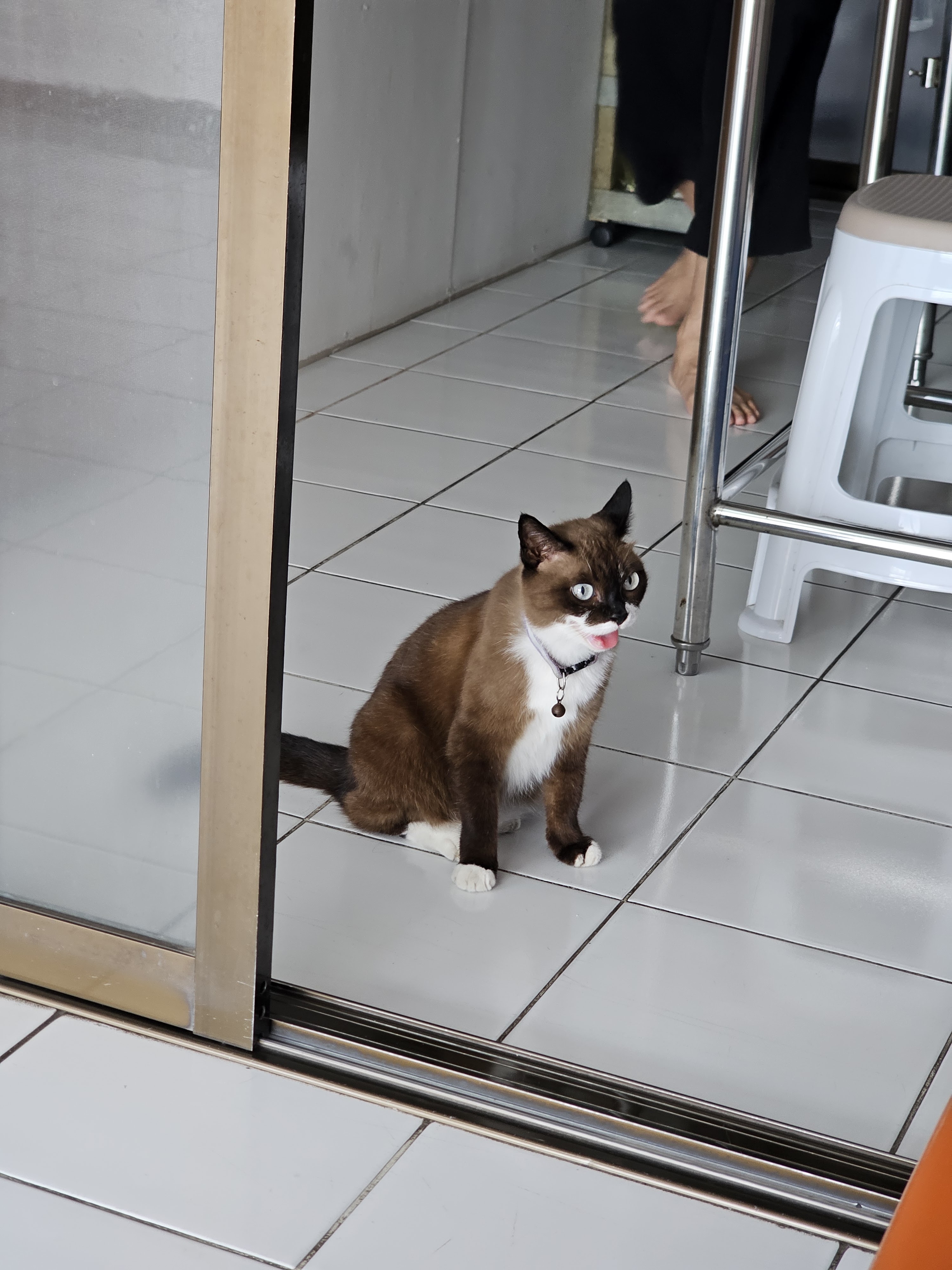 Lucky Ladkrabang Animal Treatment Clinic
