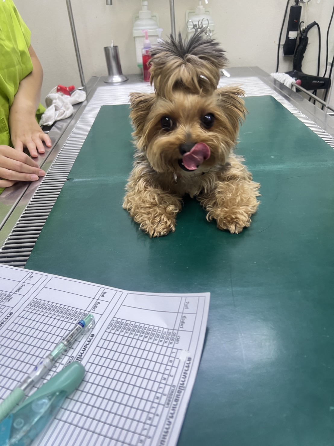 Animal Hospital, Animal Compassion Conservation