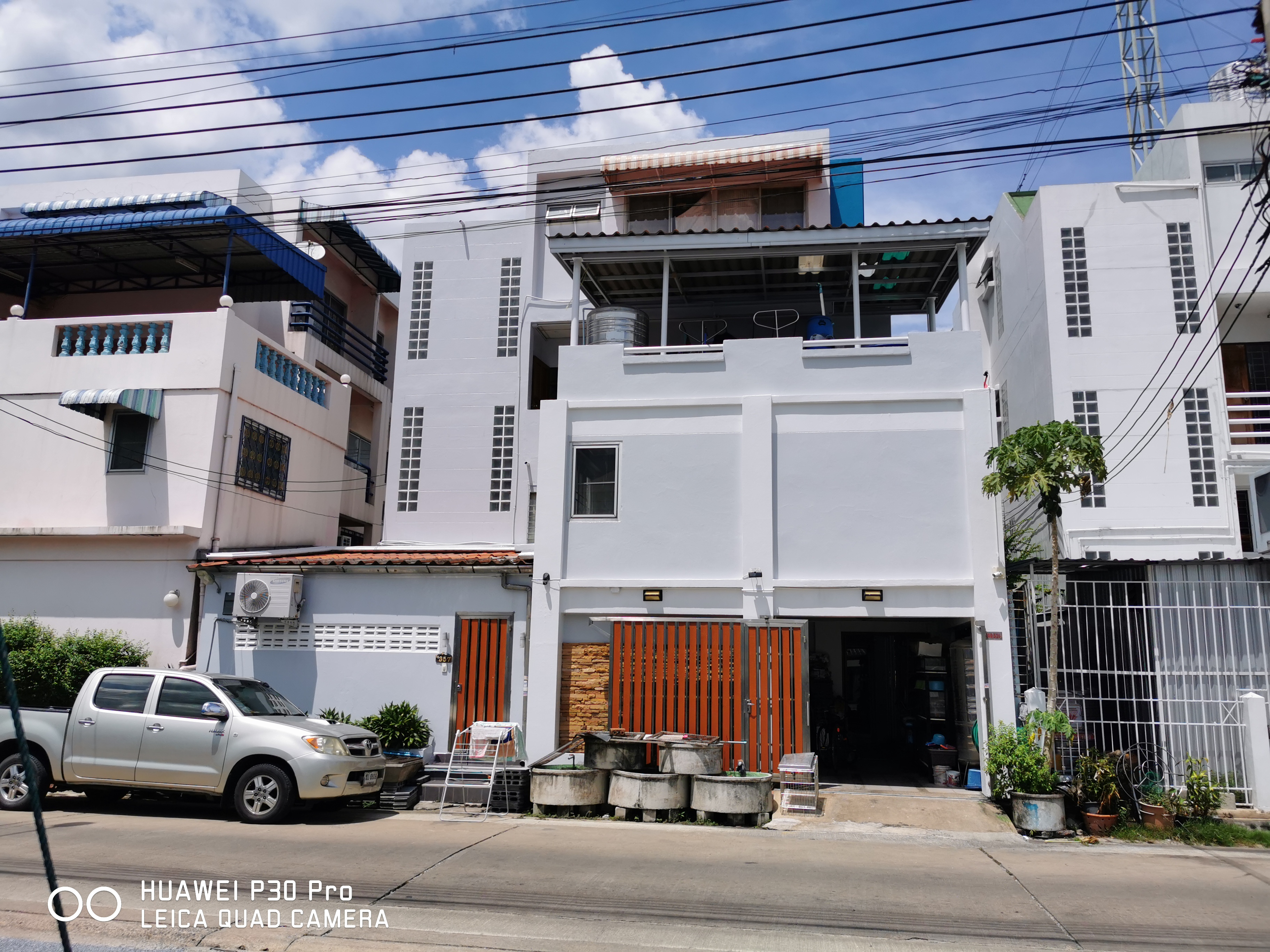 AP Animal Hospital
