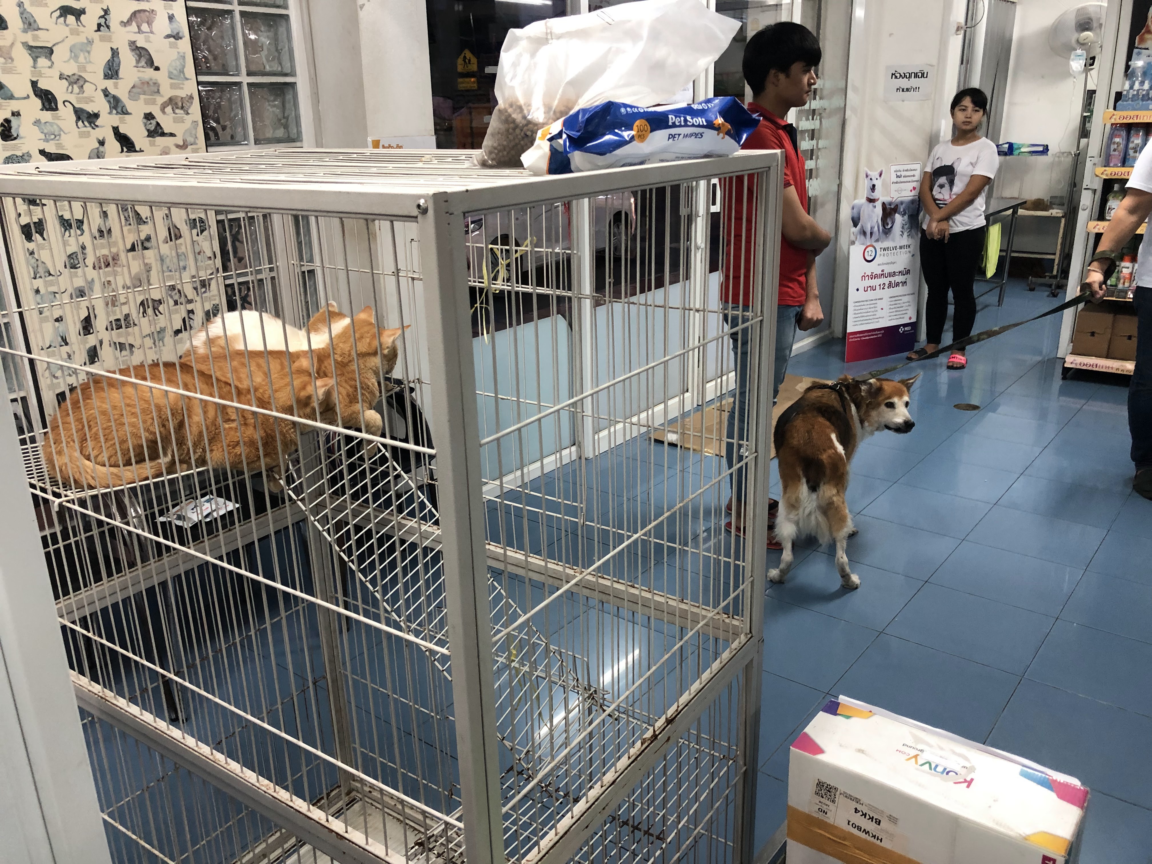 Chan Hun Animal Hospital