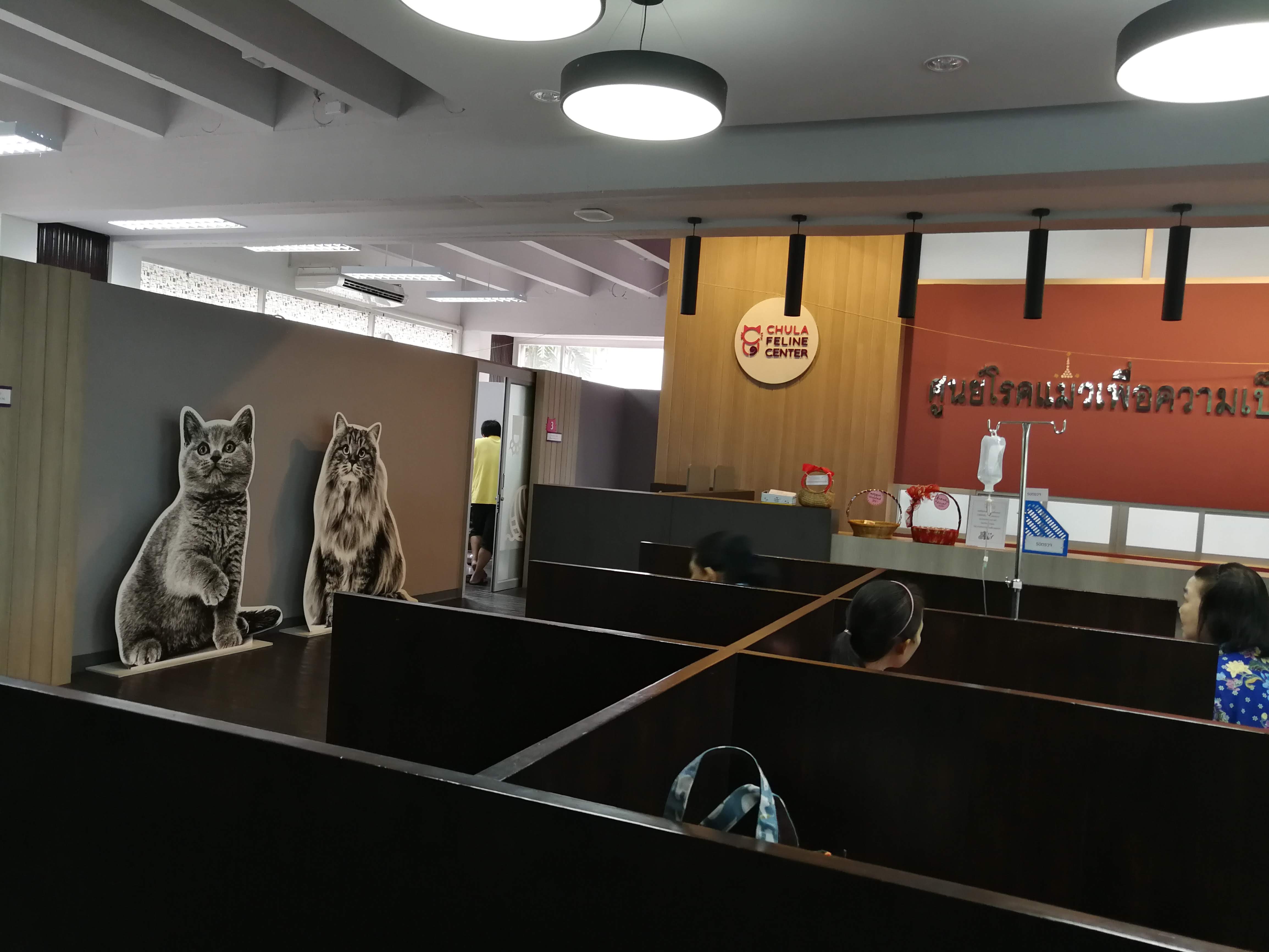 Cat Disease Center for Excellence