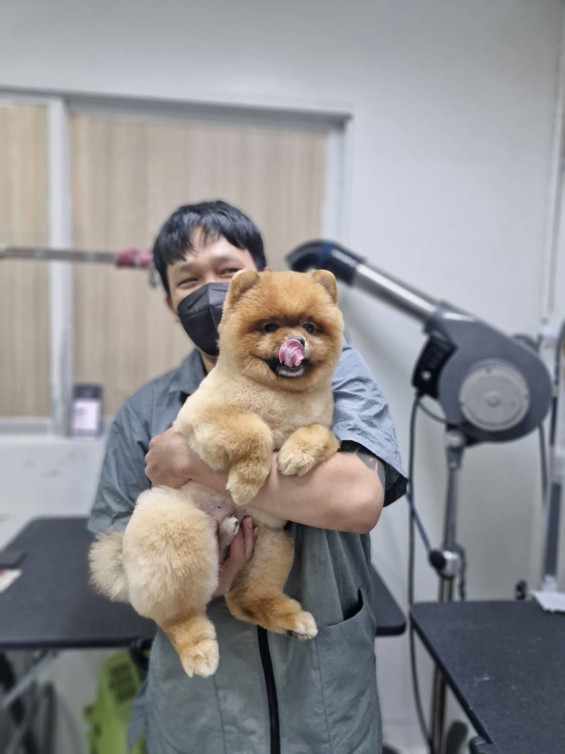 Yothin Pet Clinic
