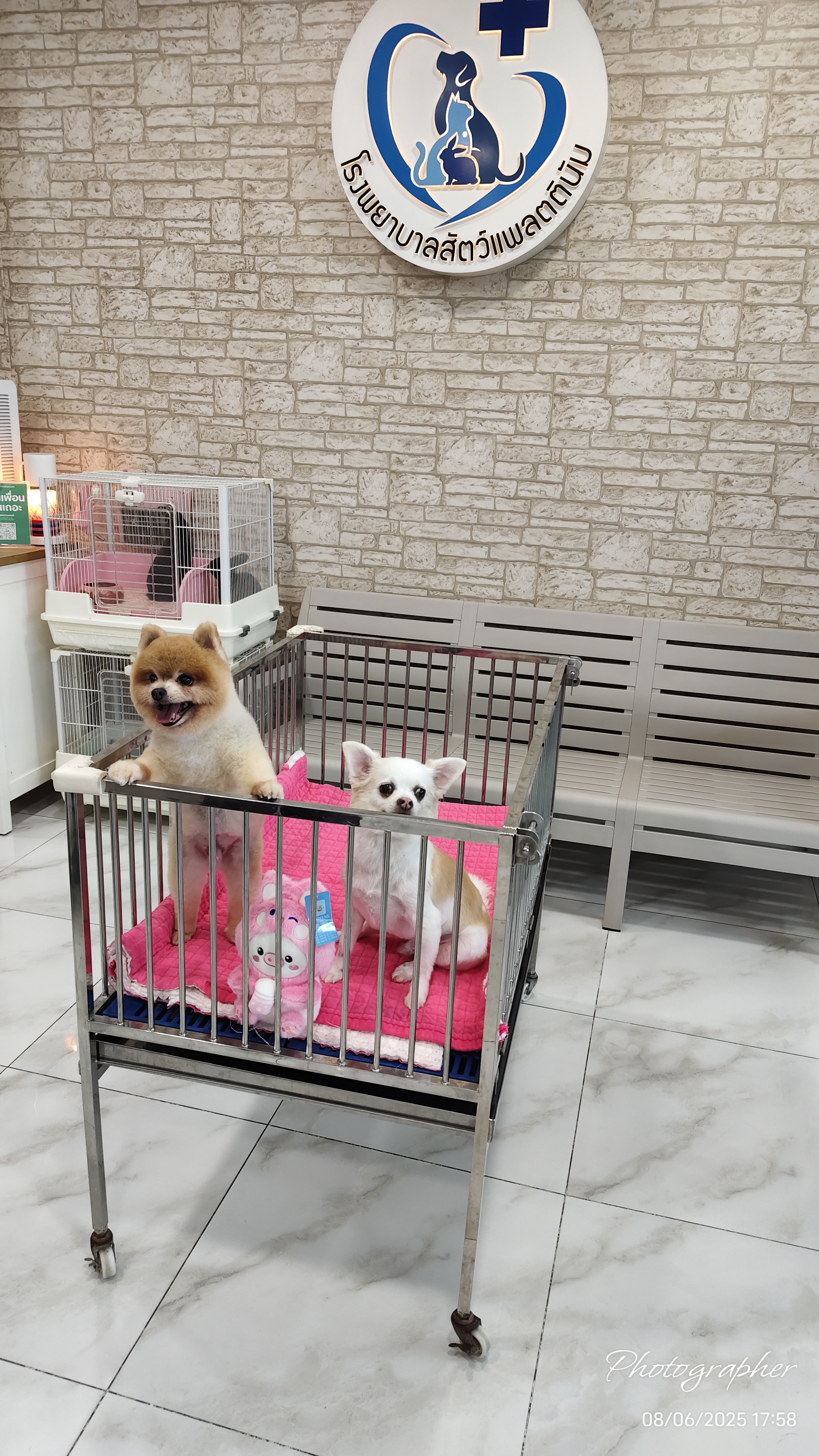 Platinum Animal Hospital
