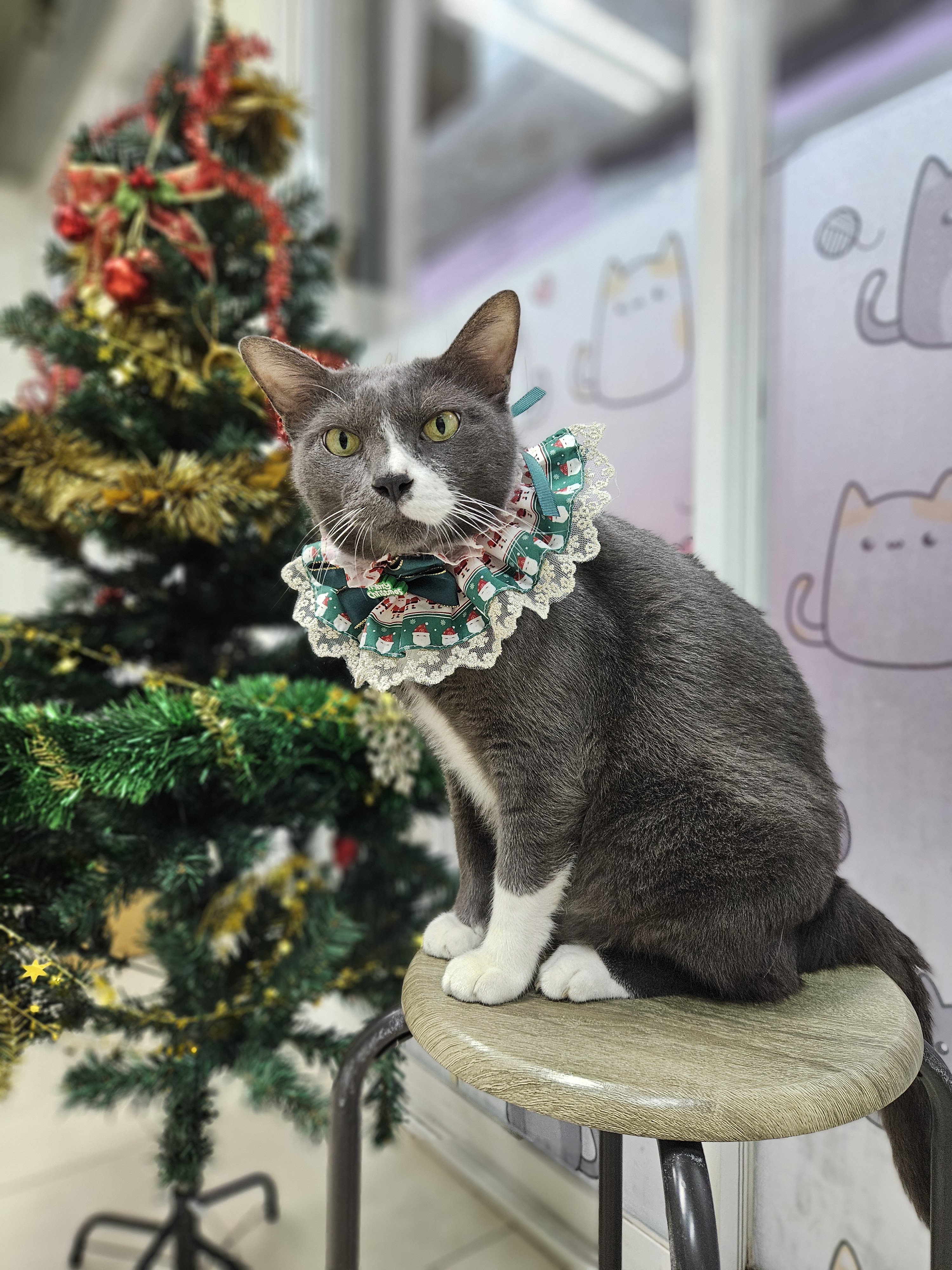 Thonburi Veterinary Clinic
