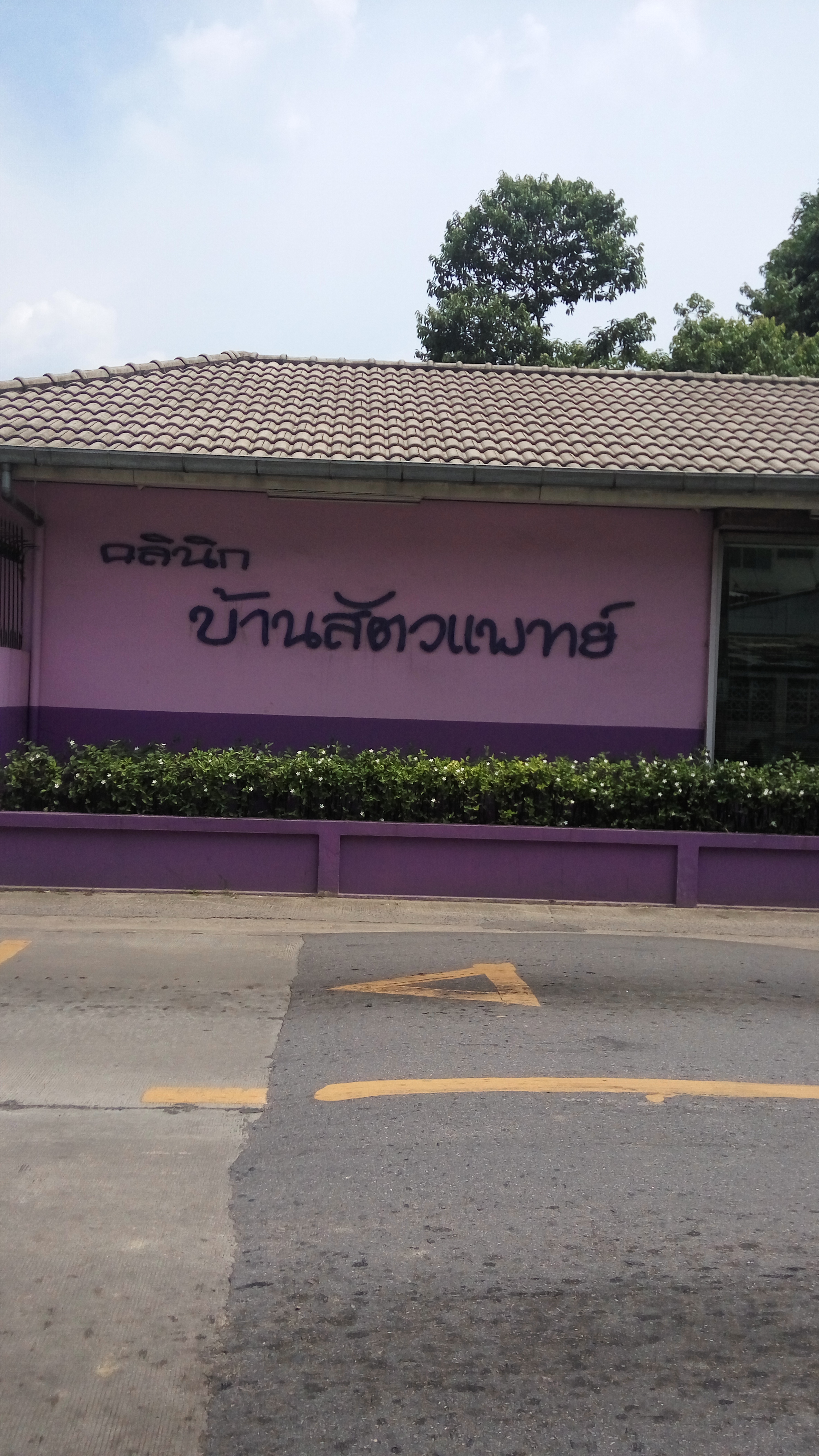 Veterinary House Clinic
