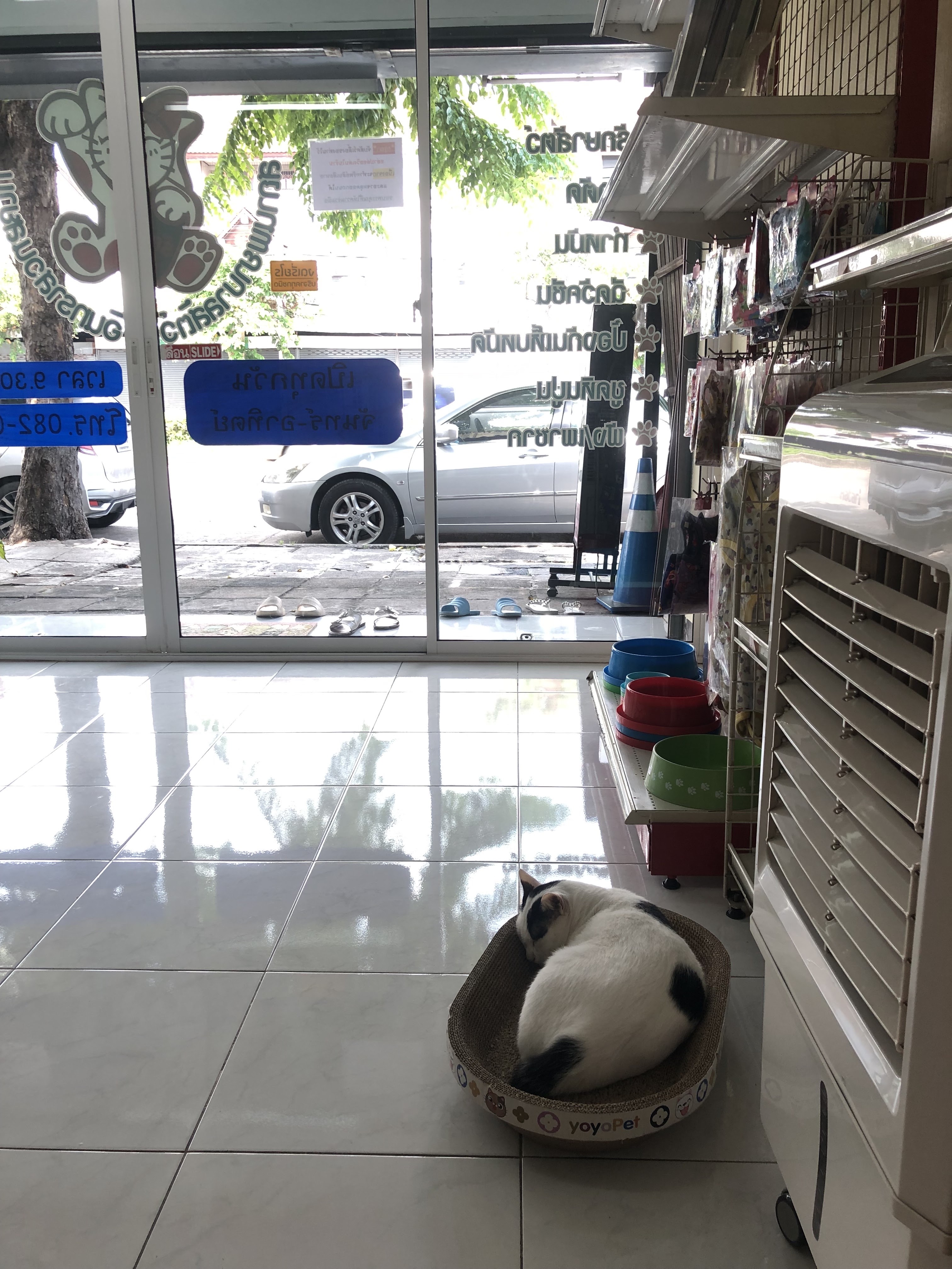 Indra Animal Hospital