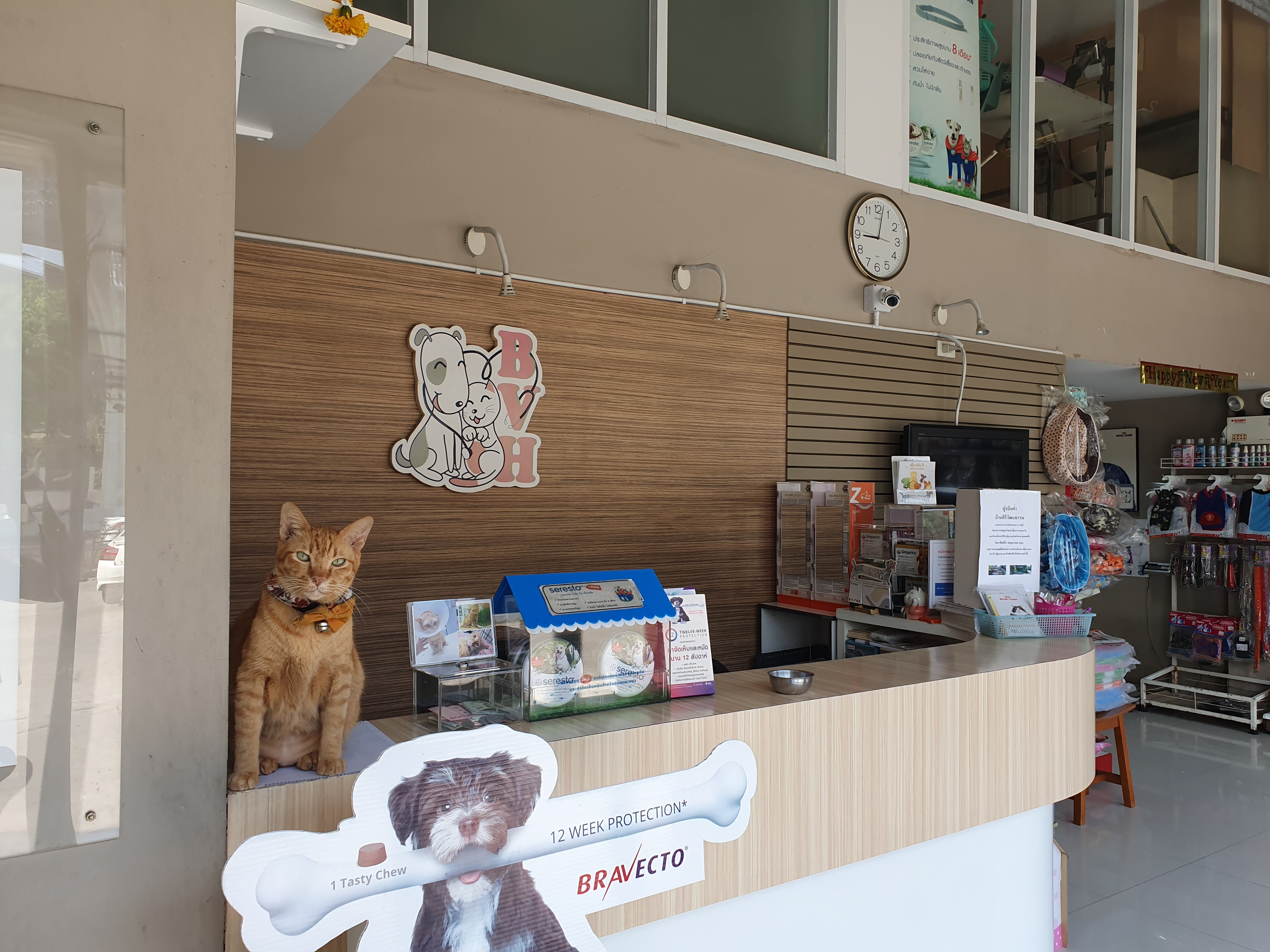 1 Bangkhae Vet Hospital