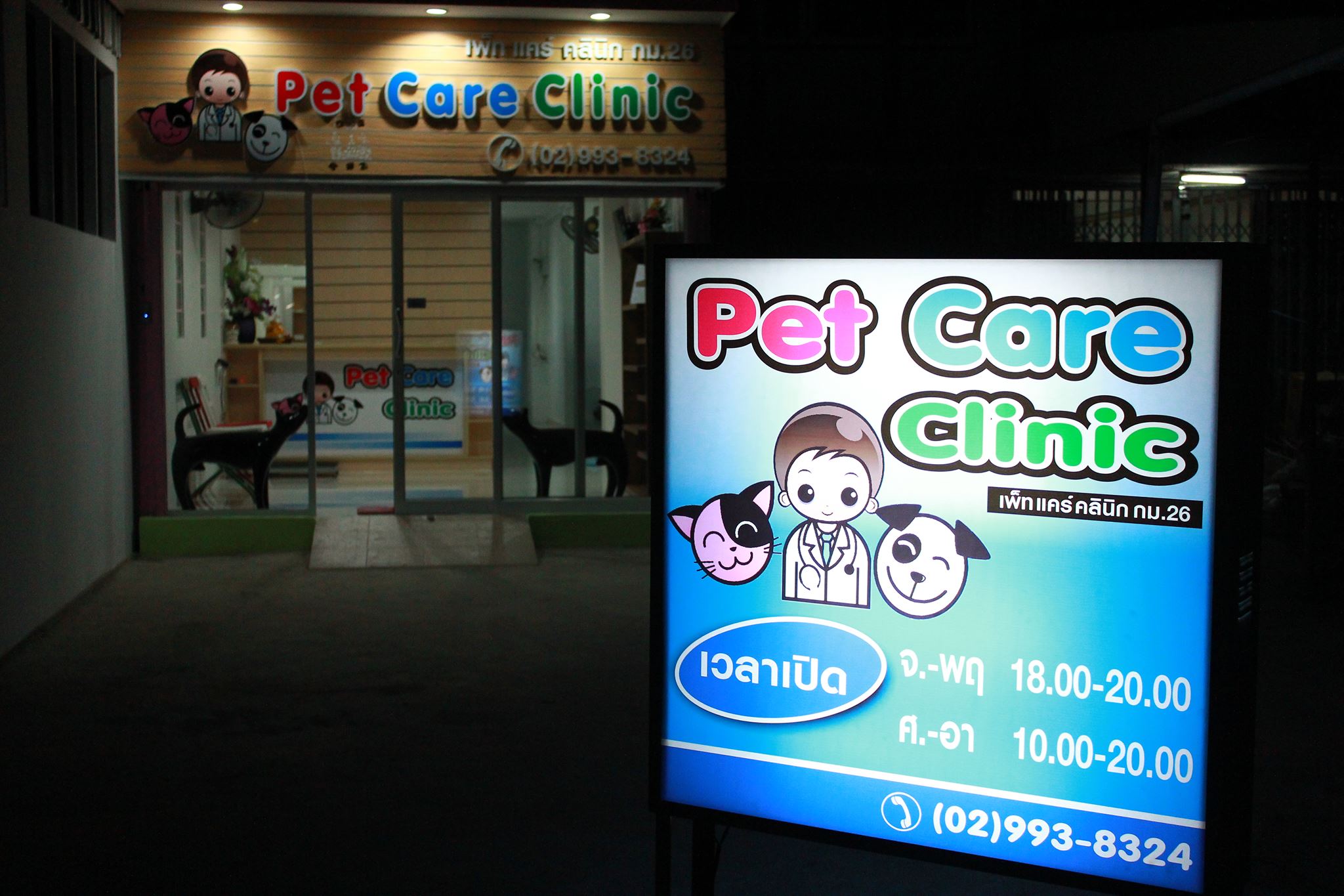 26