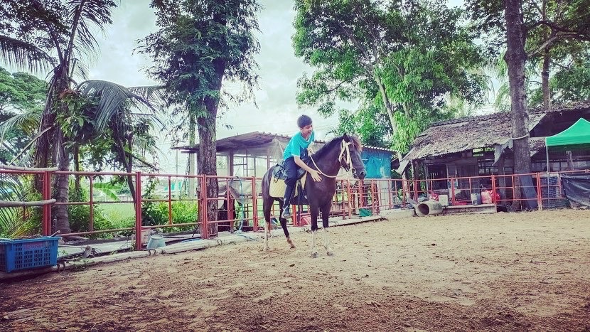 Amin Horse Riding Course