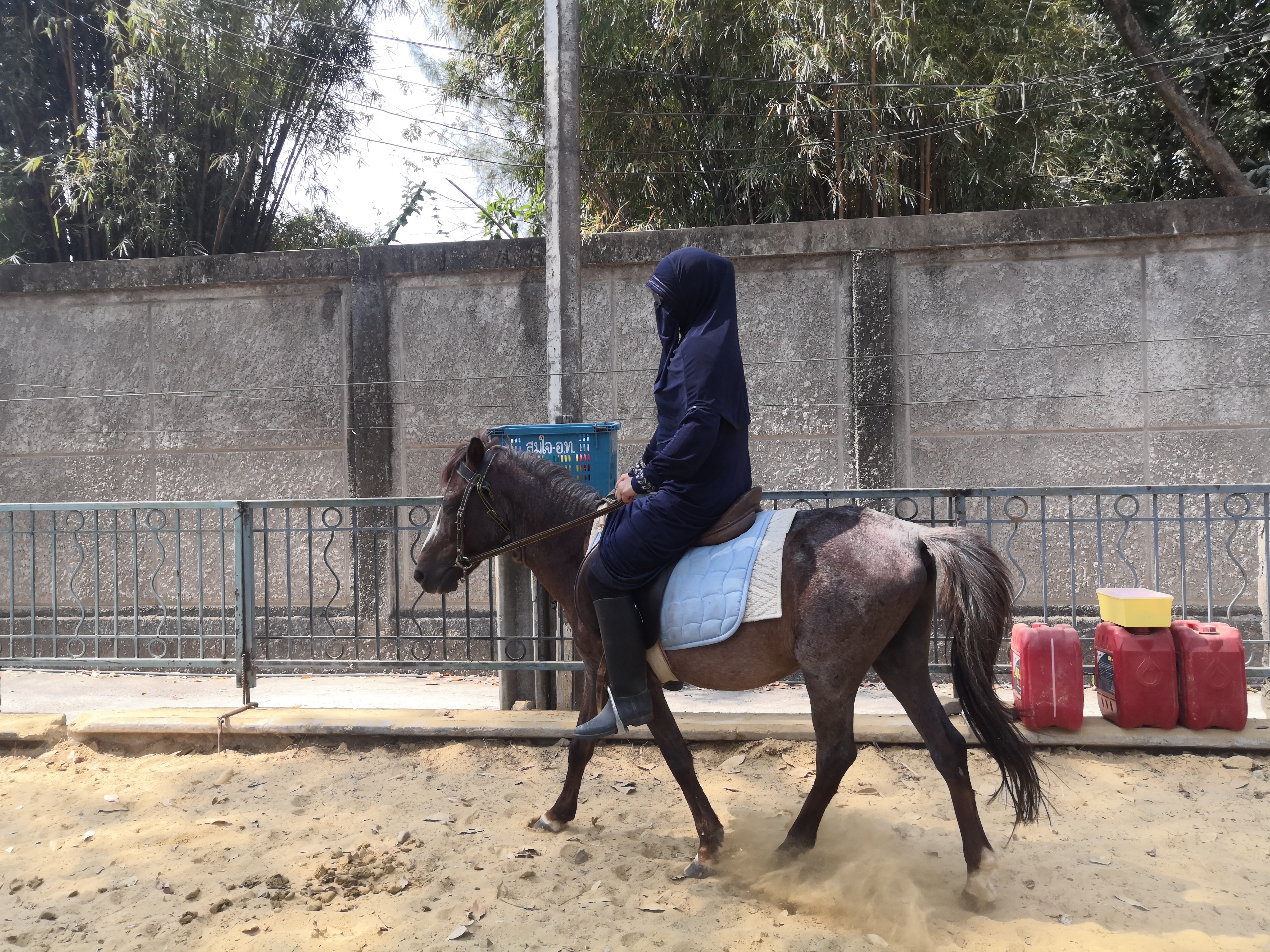 Amin Horse Riding Course