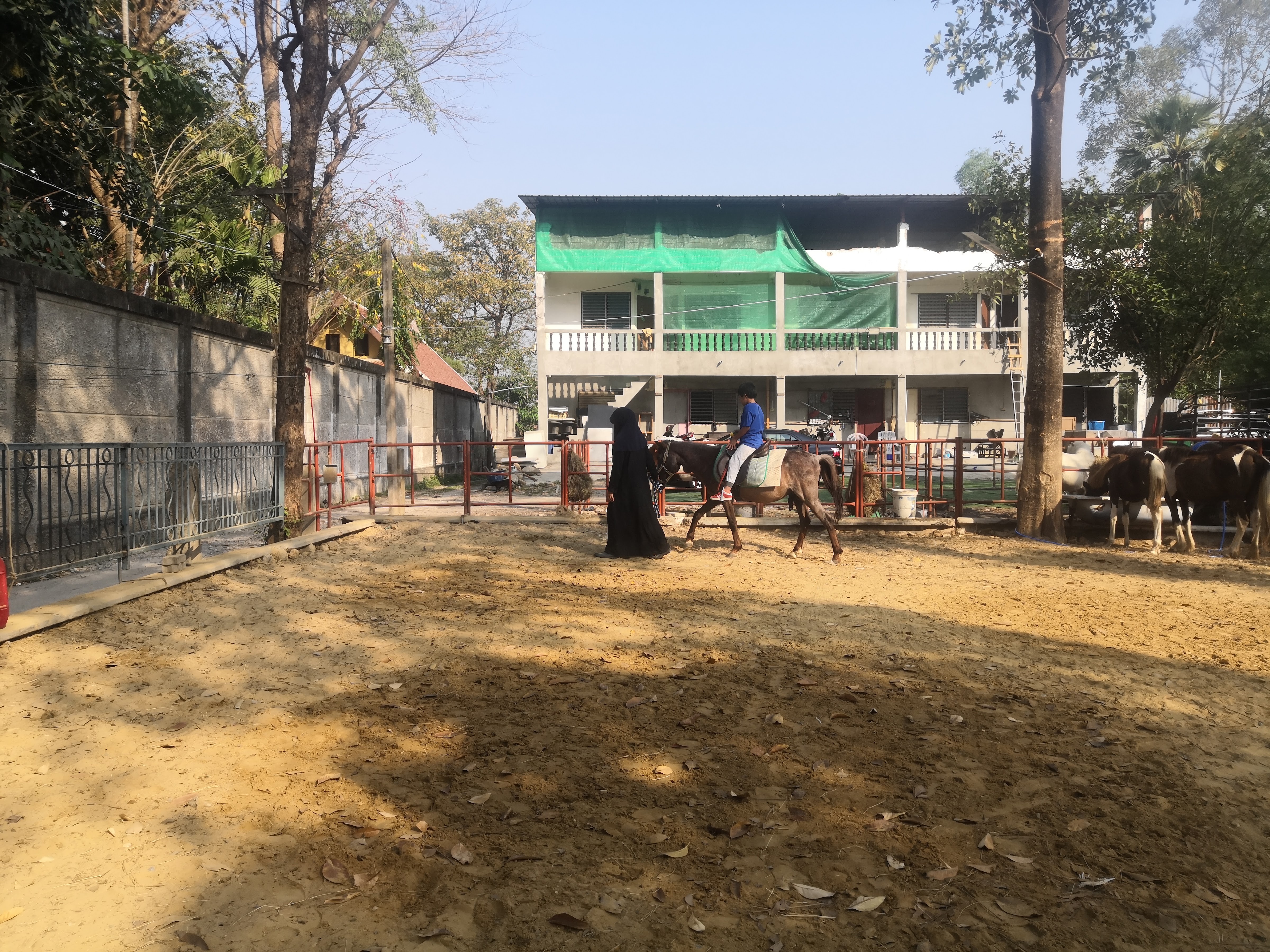 Amin Horse Riding Course