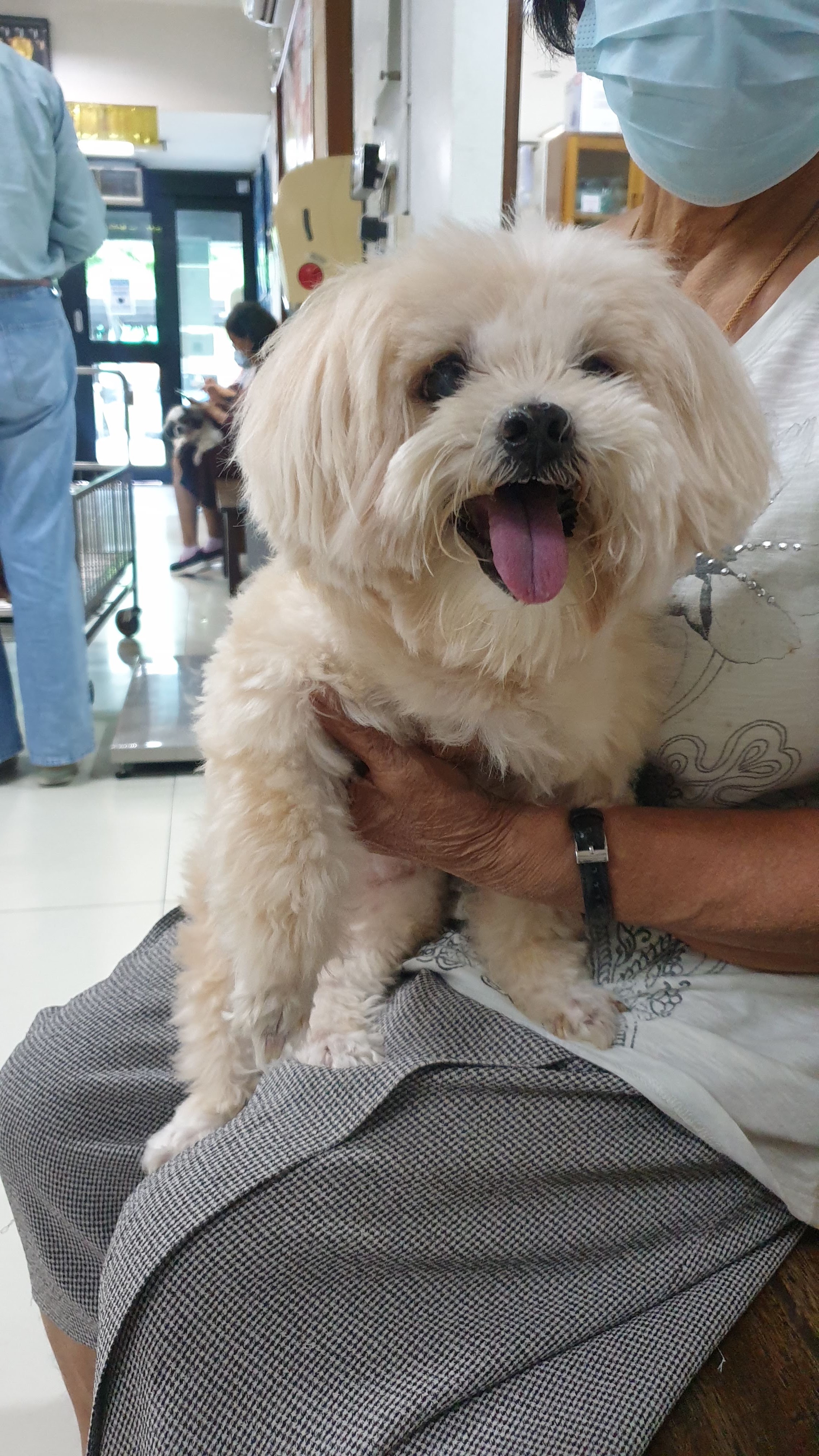 Animal Hospital Suwannachad