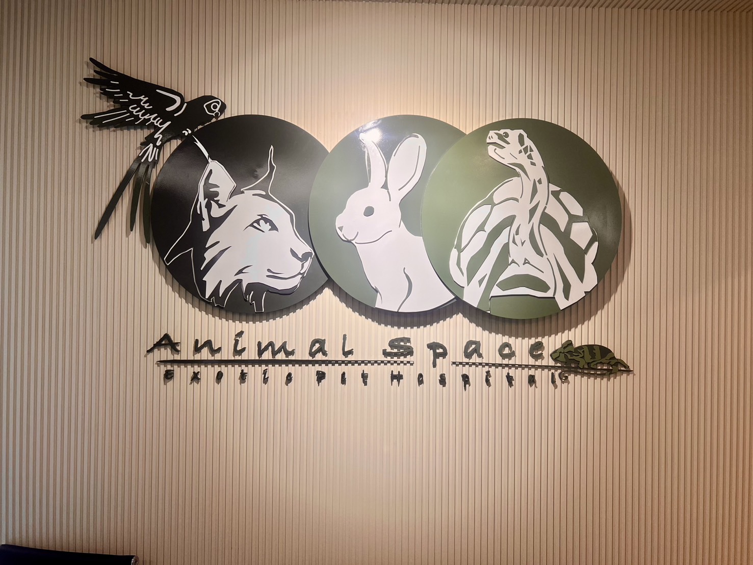 Animal Space Clinic (Animal Space x Thonglor Pet)