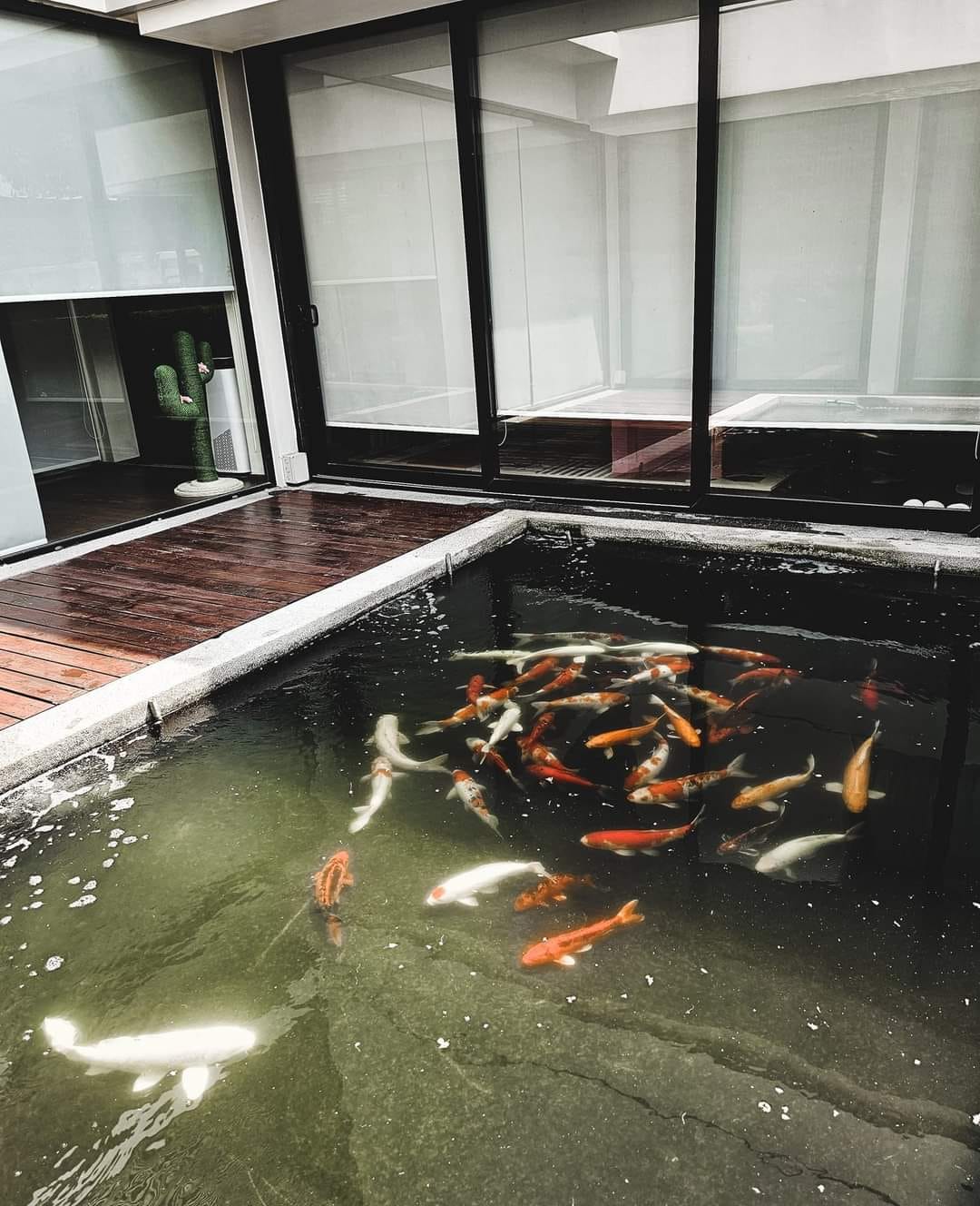 Aquatic Service Center