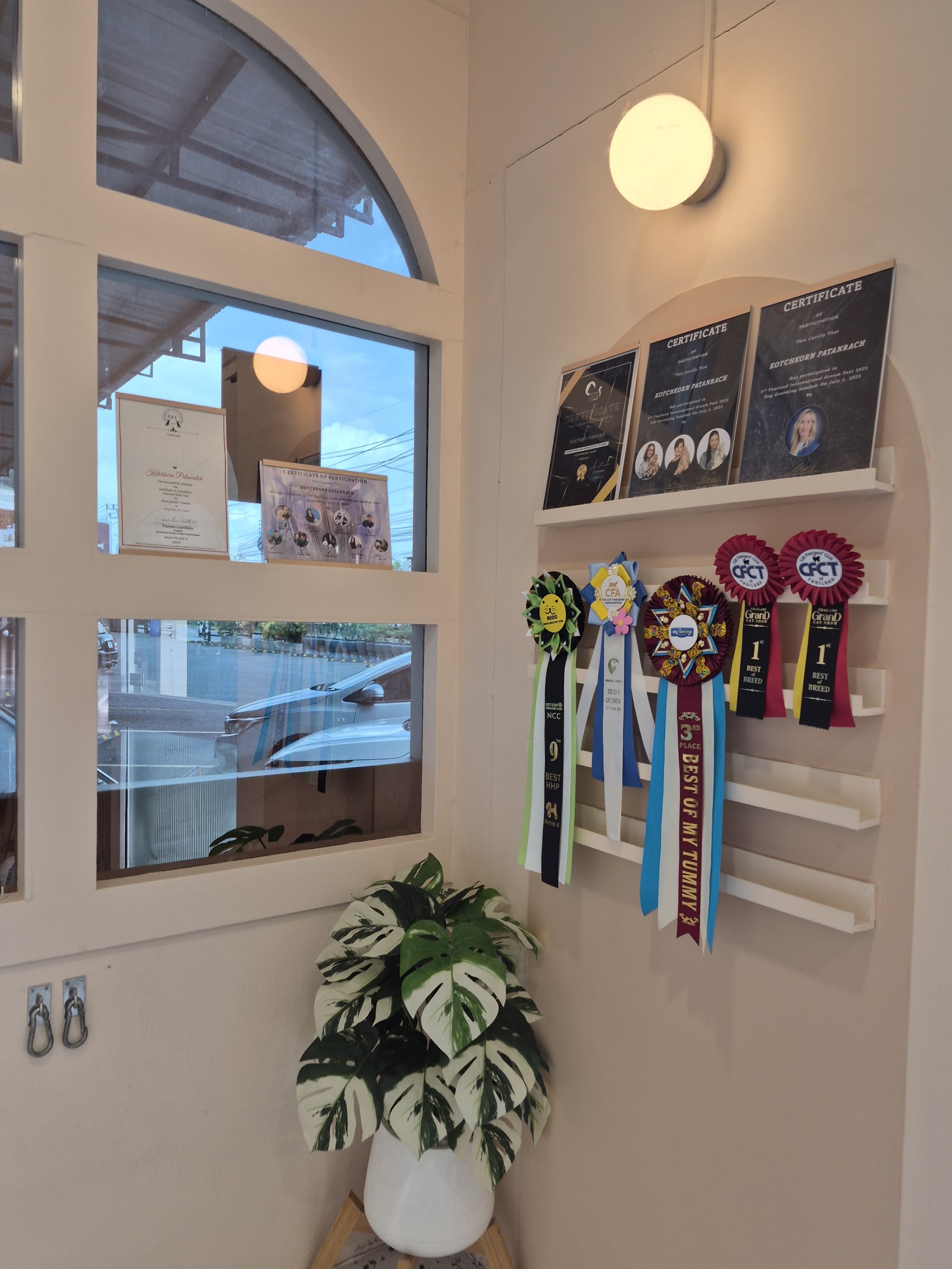 Arya Pet Grooming and Spa