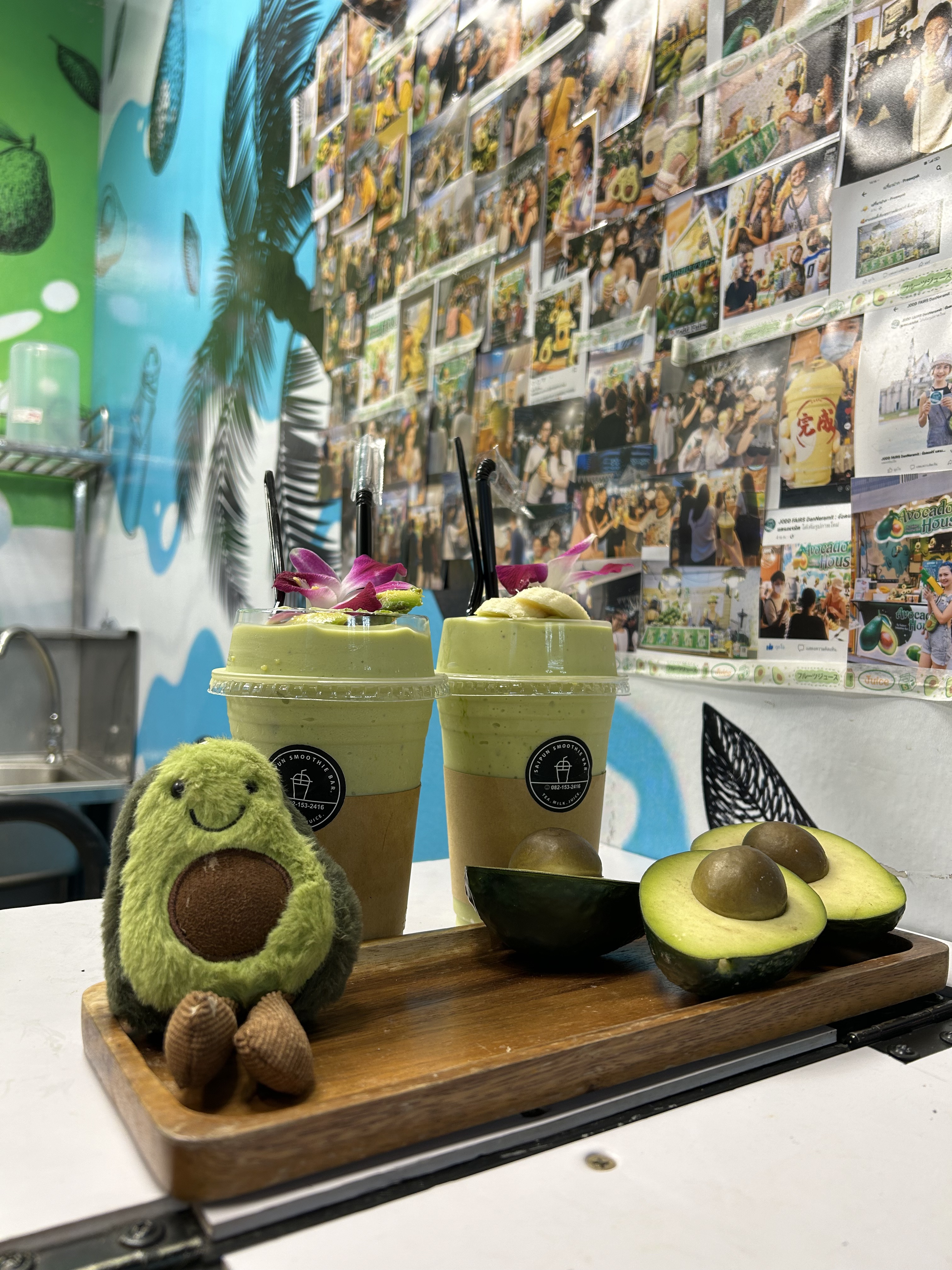 Avocado House