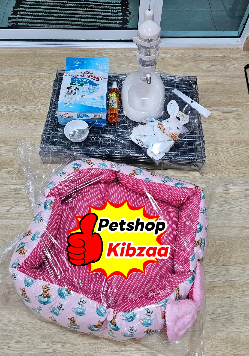 Baan Kibzaa Shihtzu