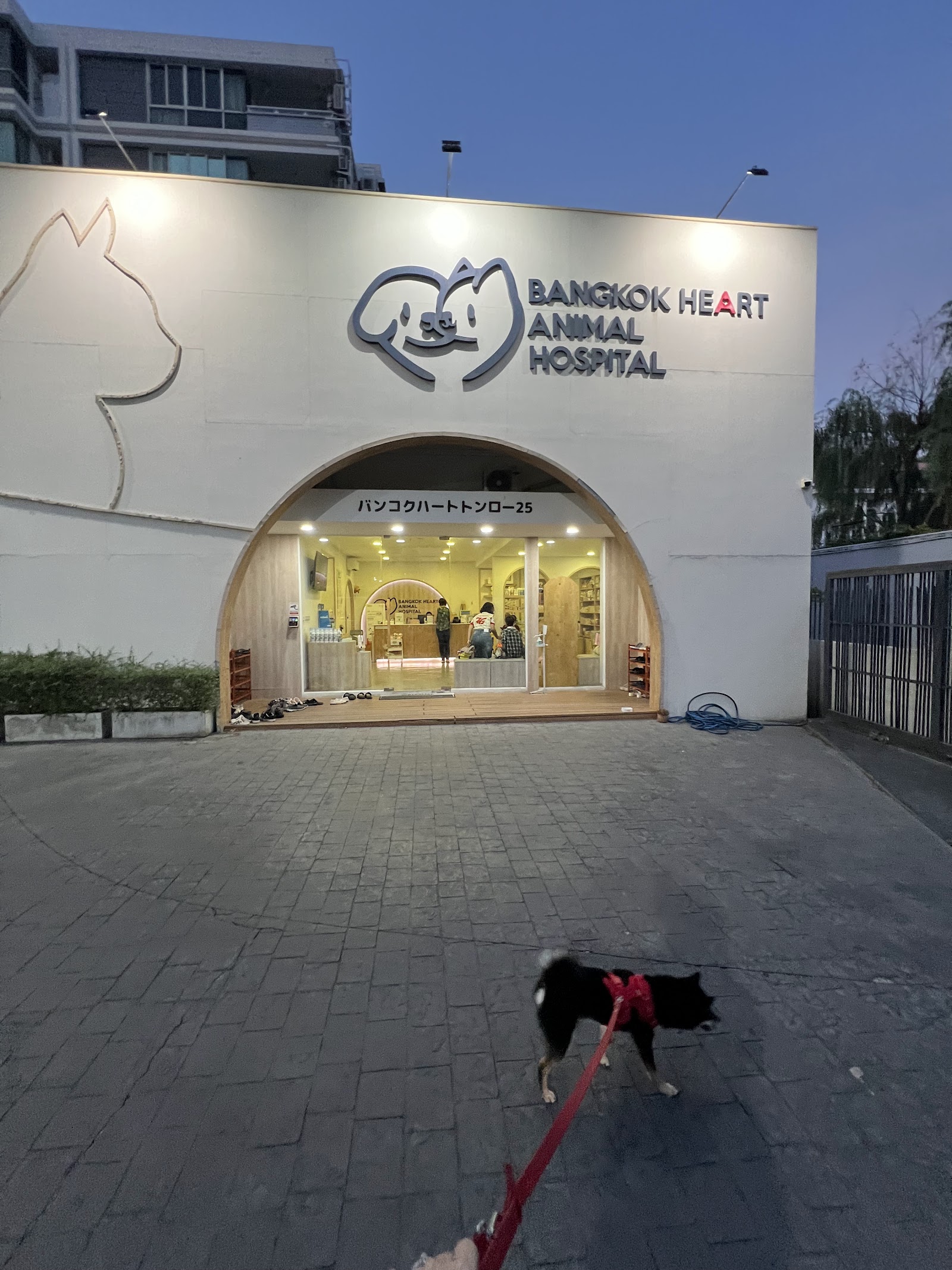 Bangkok Heart Animal Hospital Thonglor