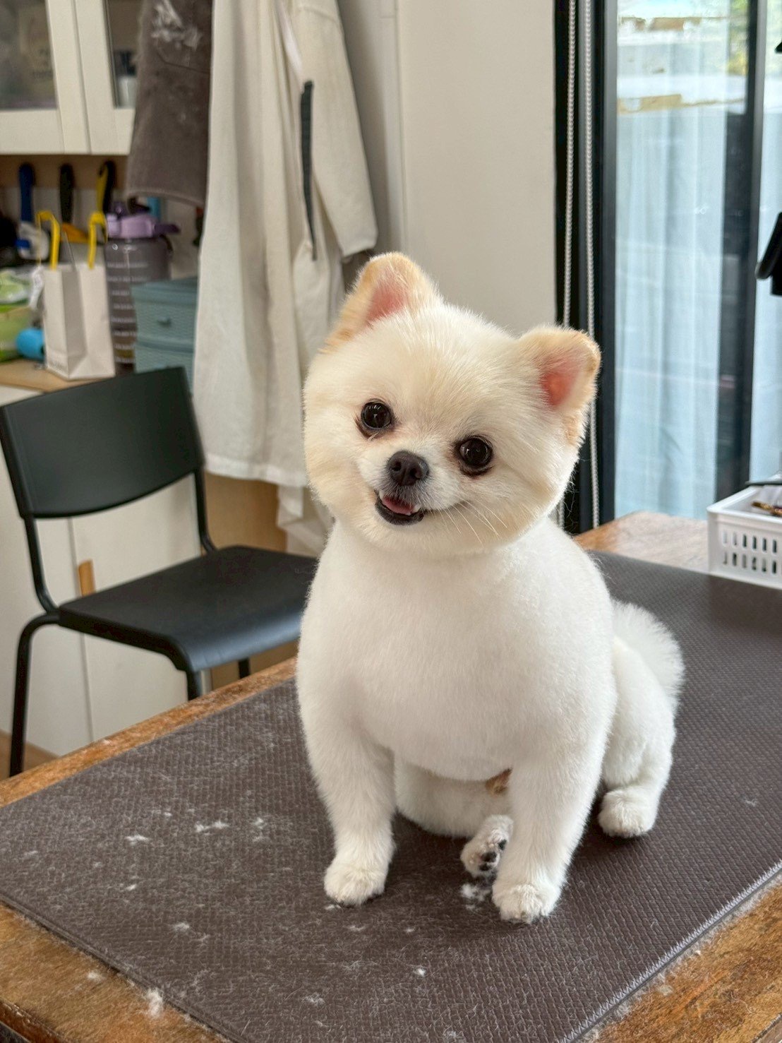 Bark lounge