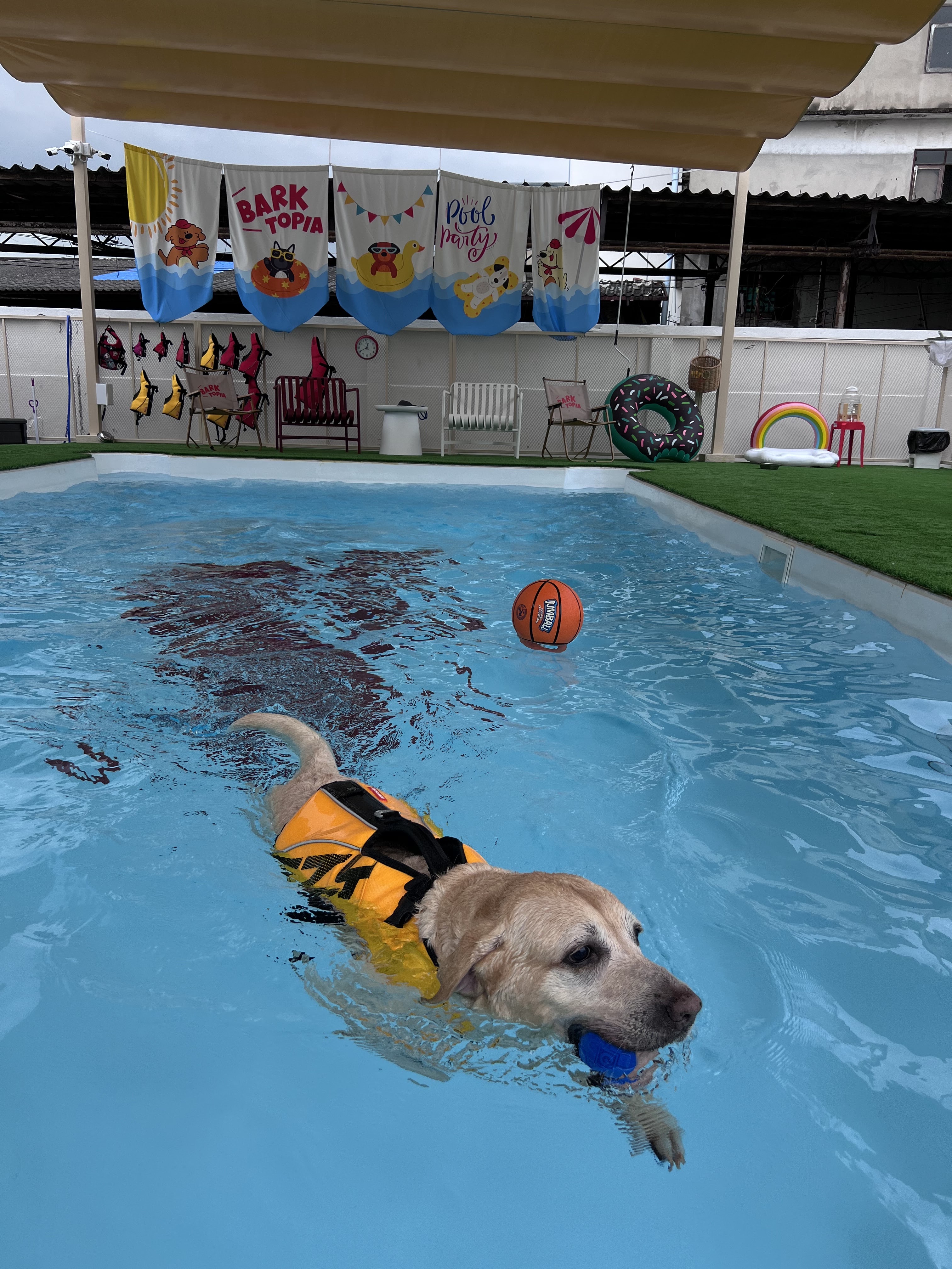 BARKTOPIA DOG PARK BKK