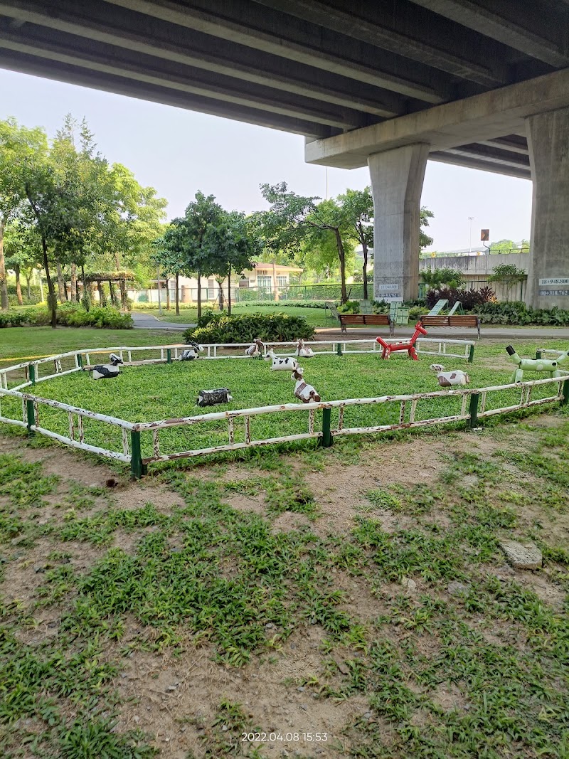 BMA Dog Park - Watcharapol