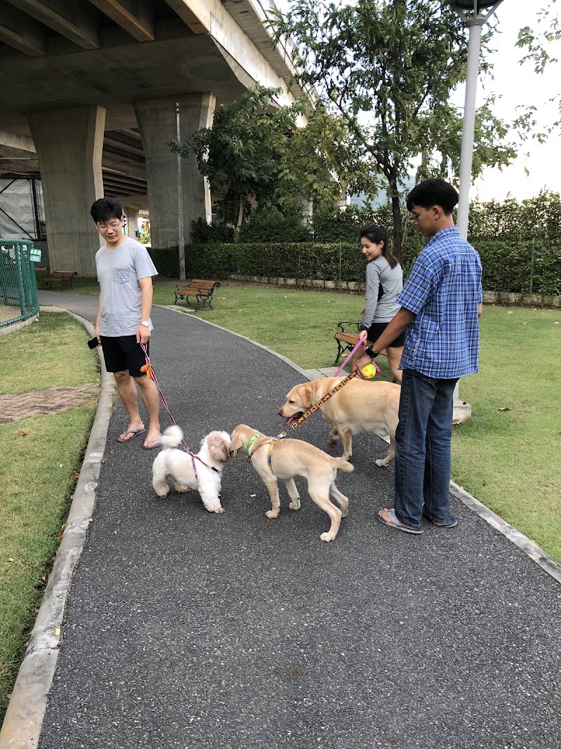 BMA Dog Park - Watcharapol