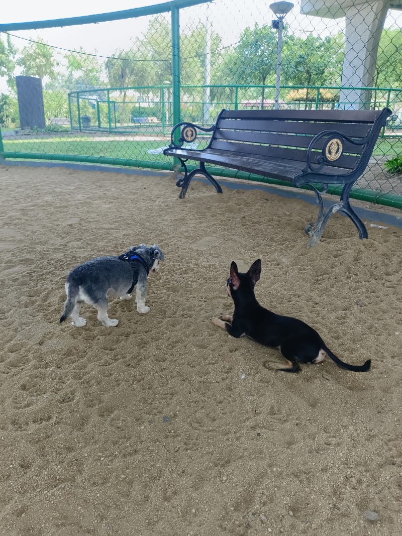 BMA Dog Park - Watcharapol