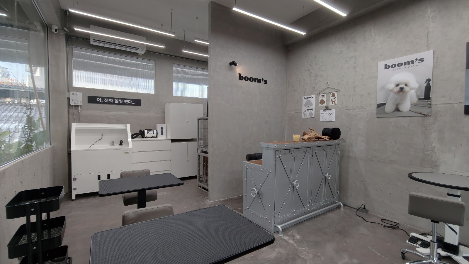 Booms Dog Styling Studio