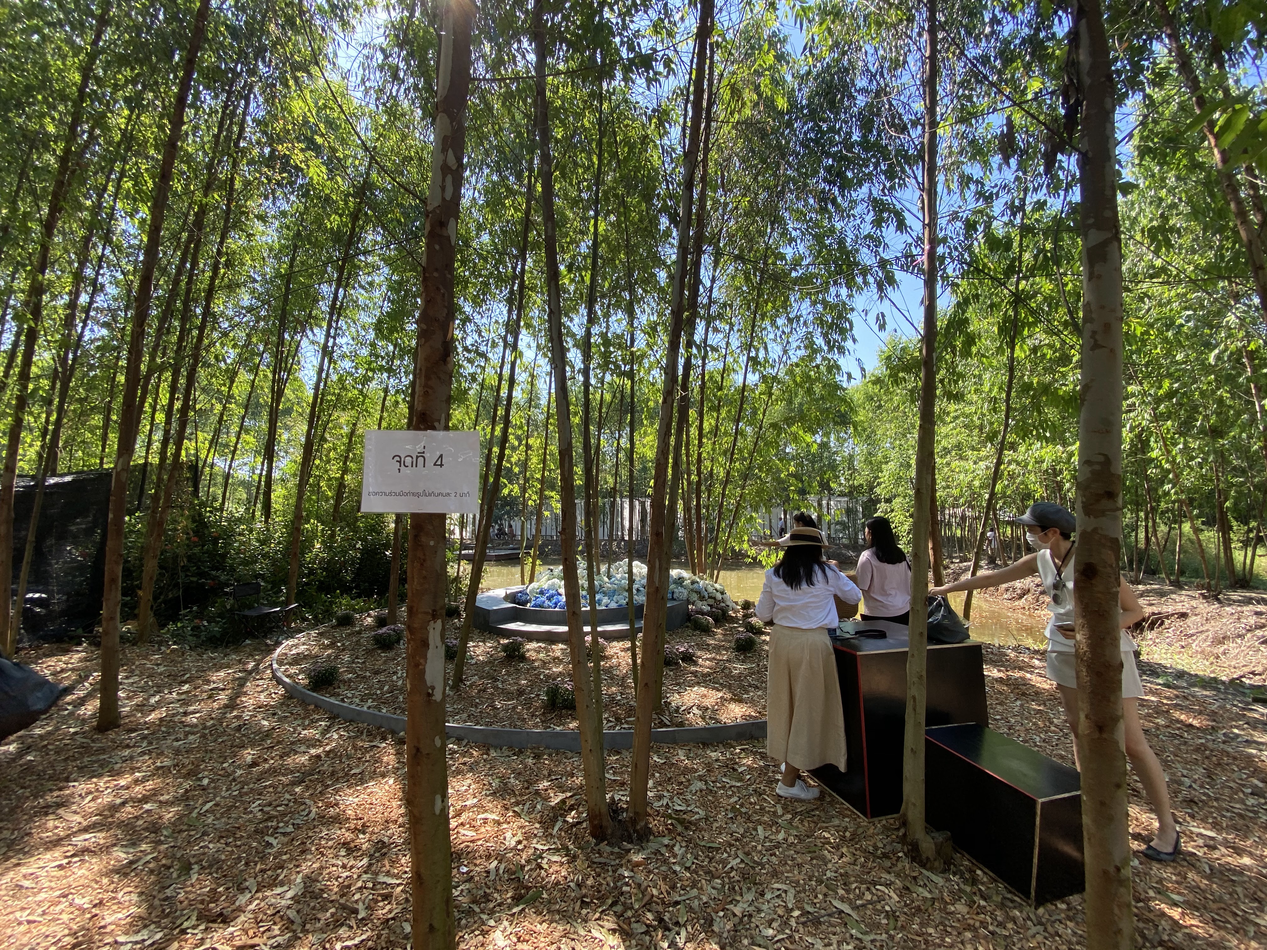 Bung Maitri Chit