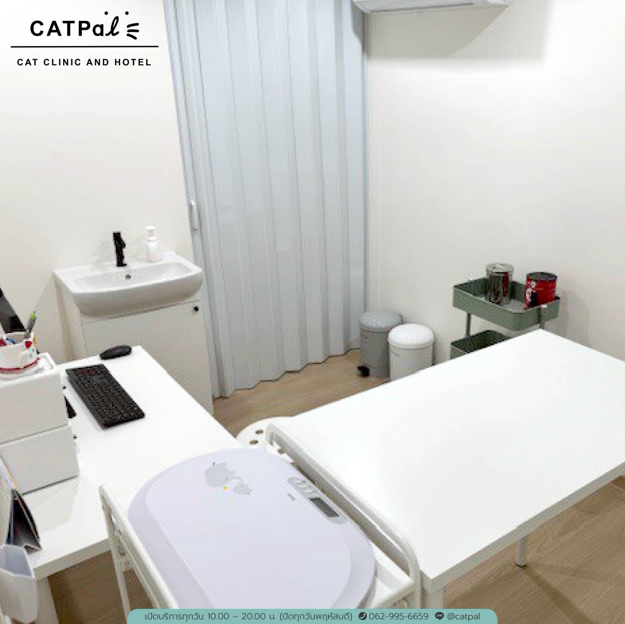 CATPAL CAT CLINIC AND HOTEL