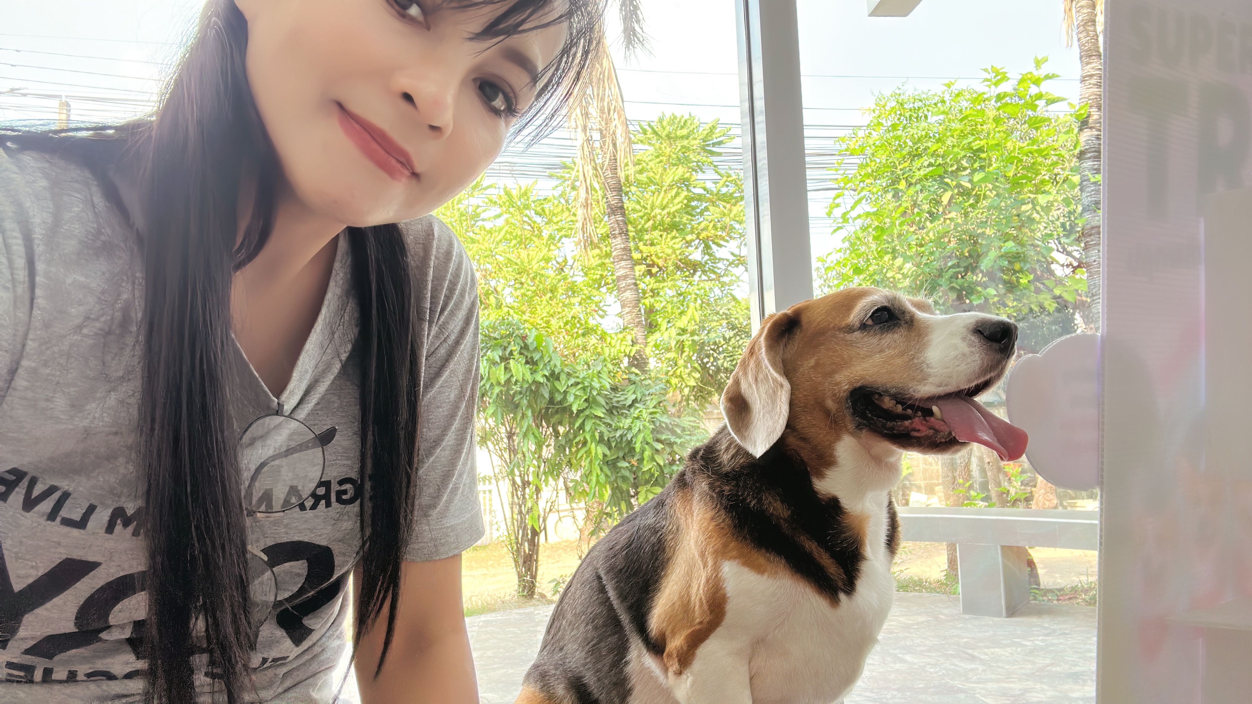 Chaengwattana Animal Hospital,