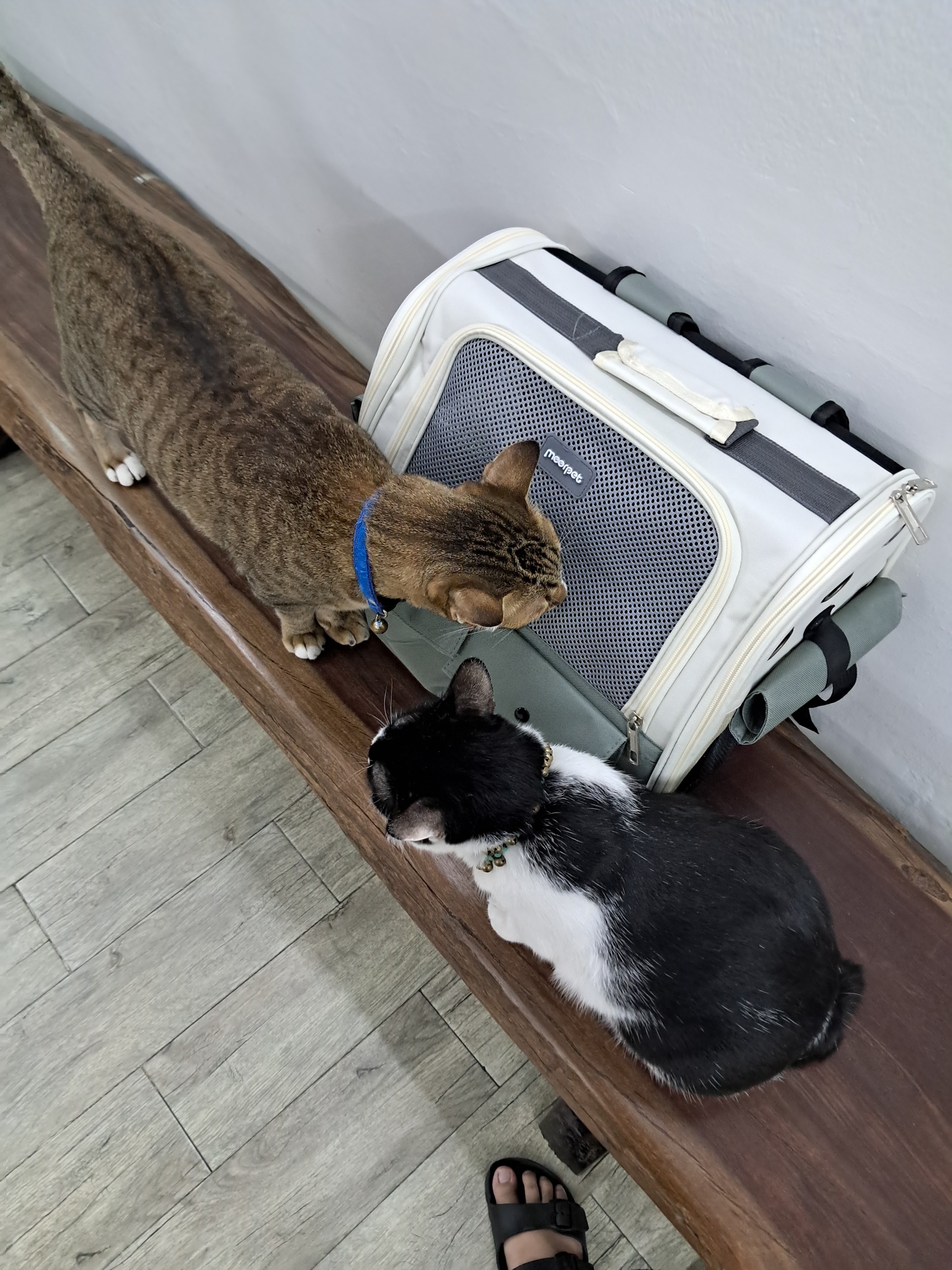 Charoen Nakhon Veterinary