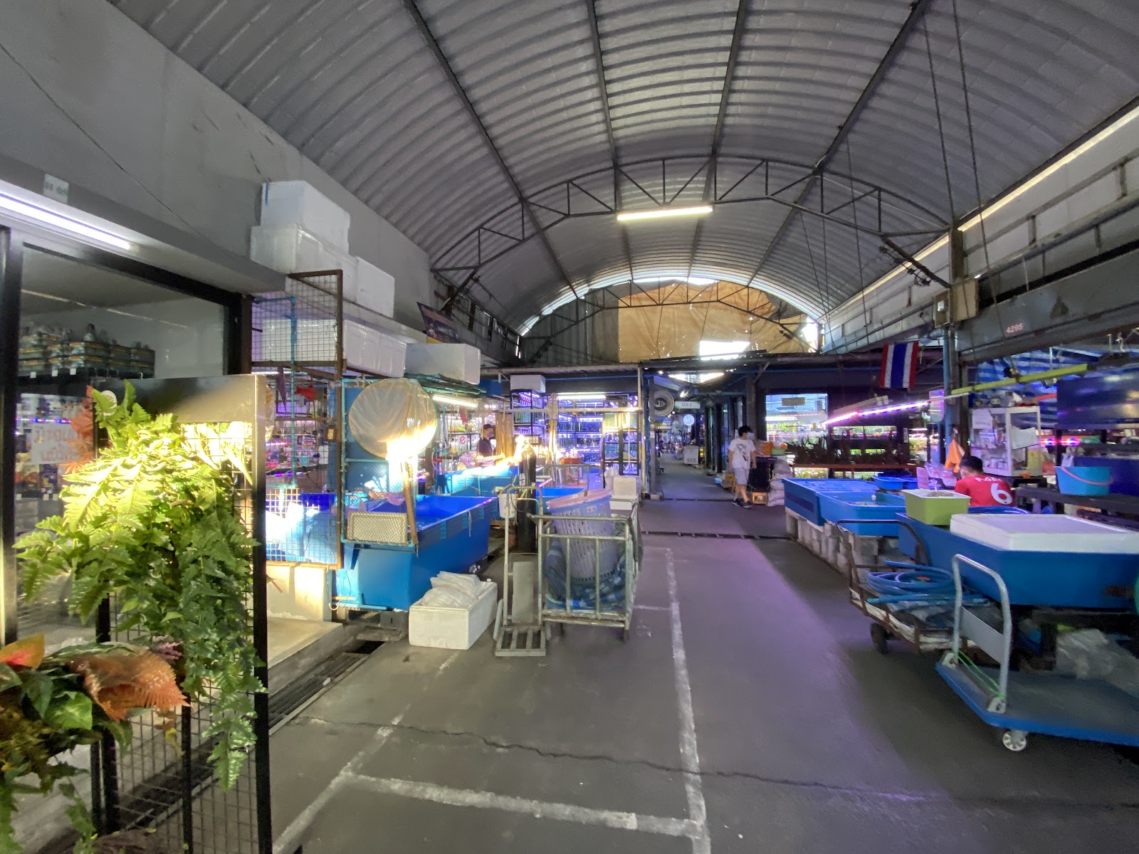 Chatuchak Fish Market