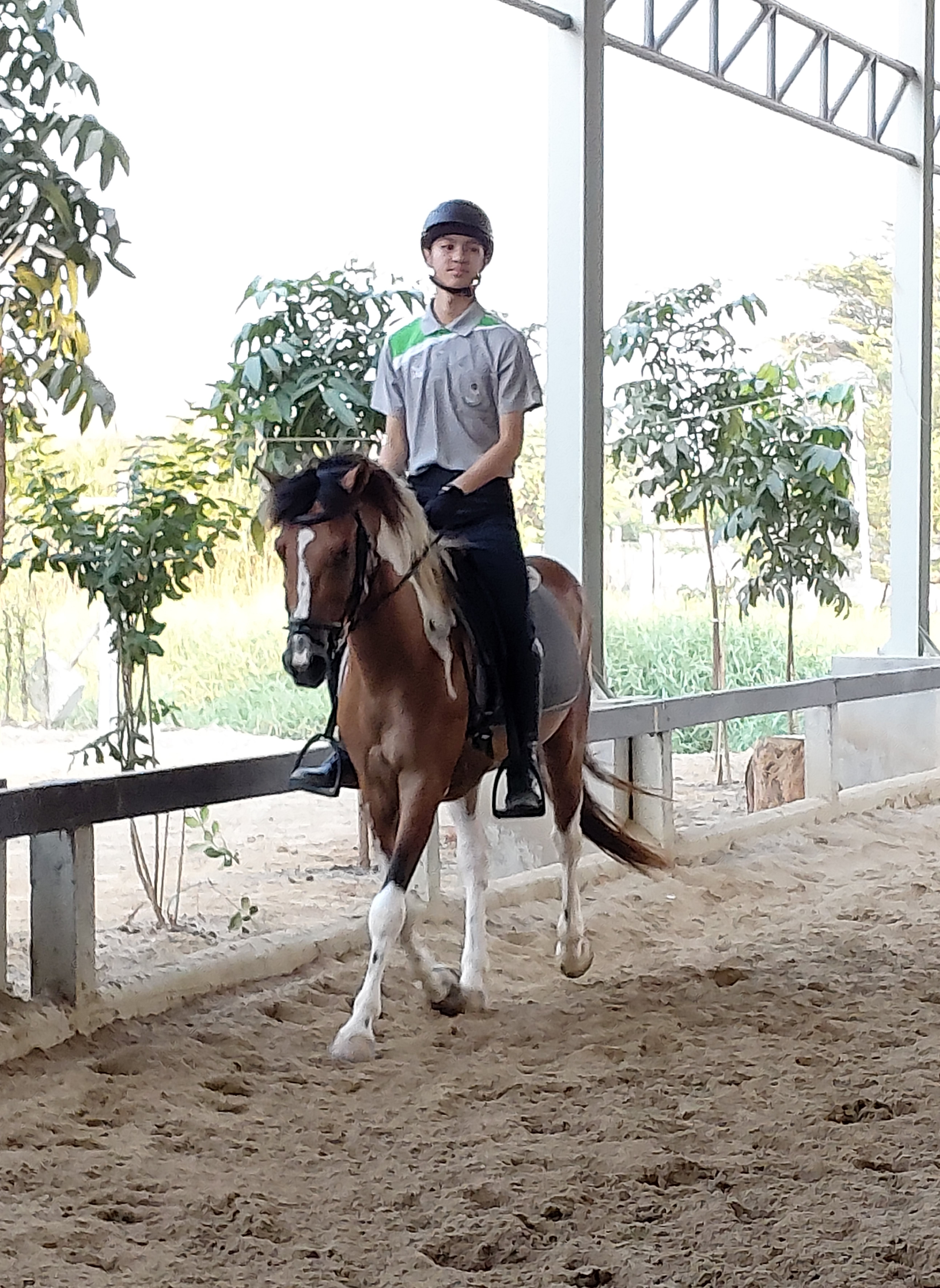 Chomview Bangkok Horse Sports Club
