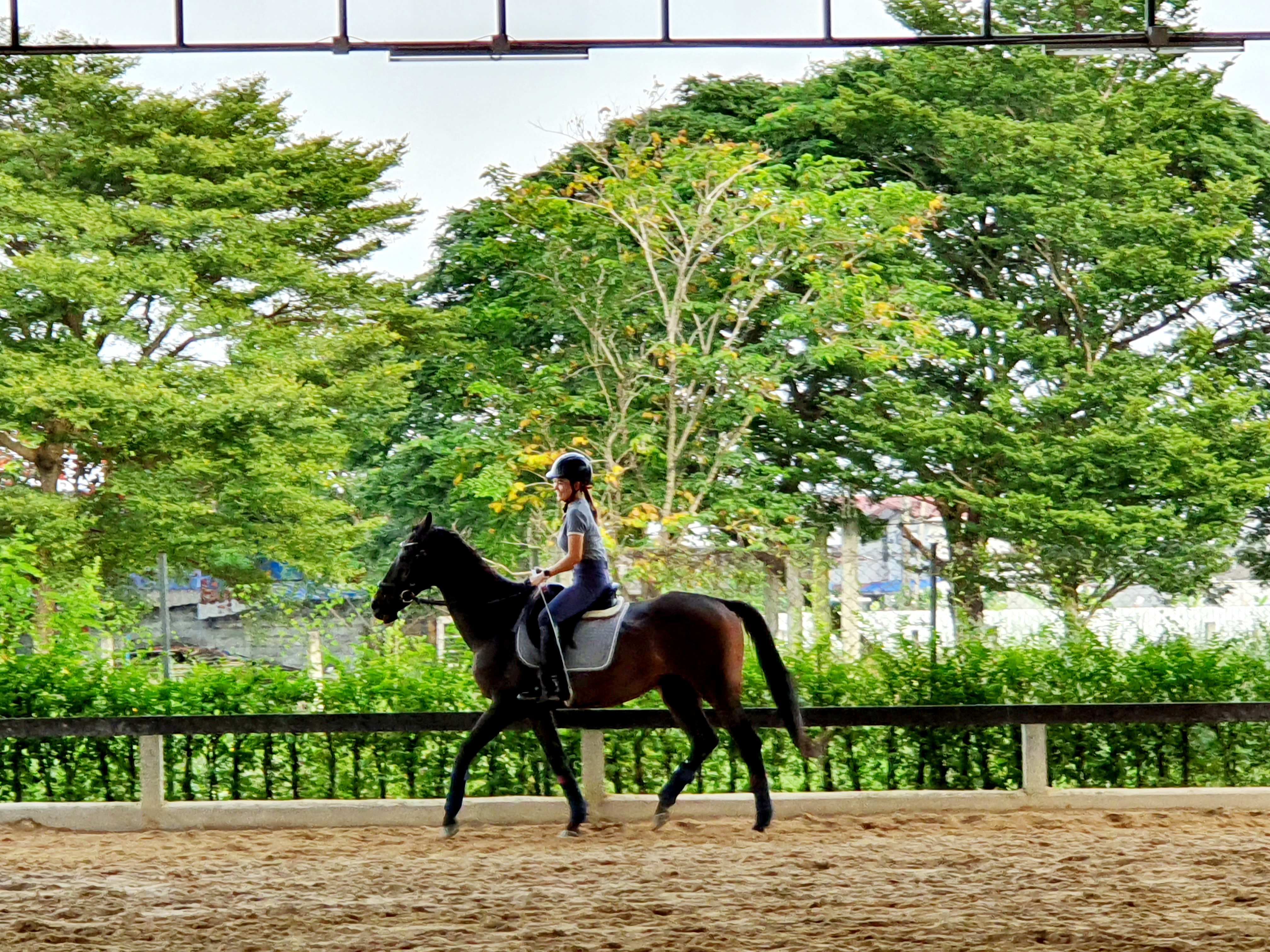 Chomview Bangkok Horse Sports Club