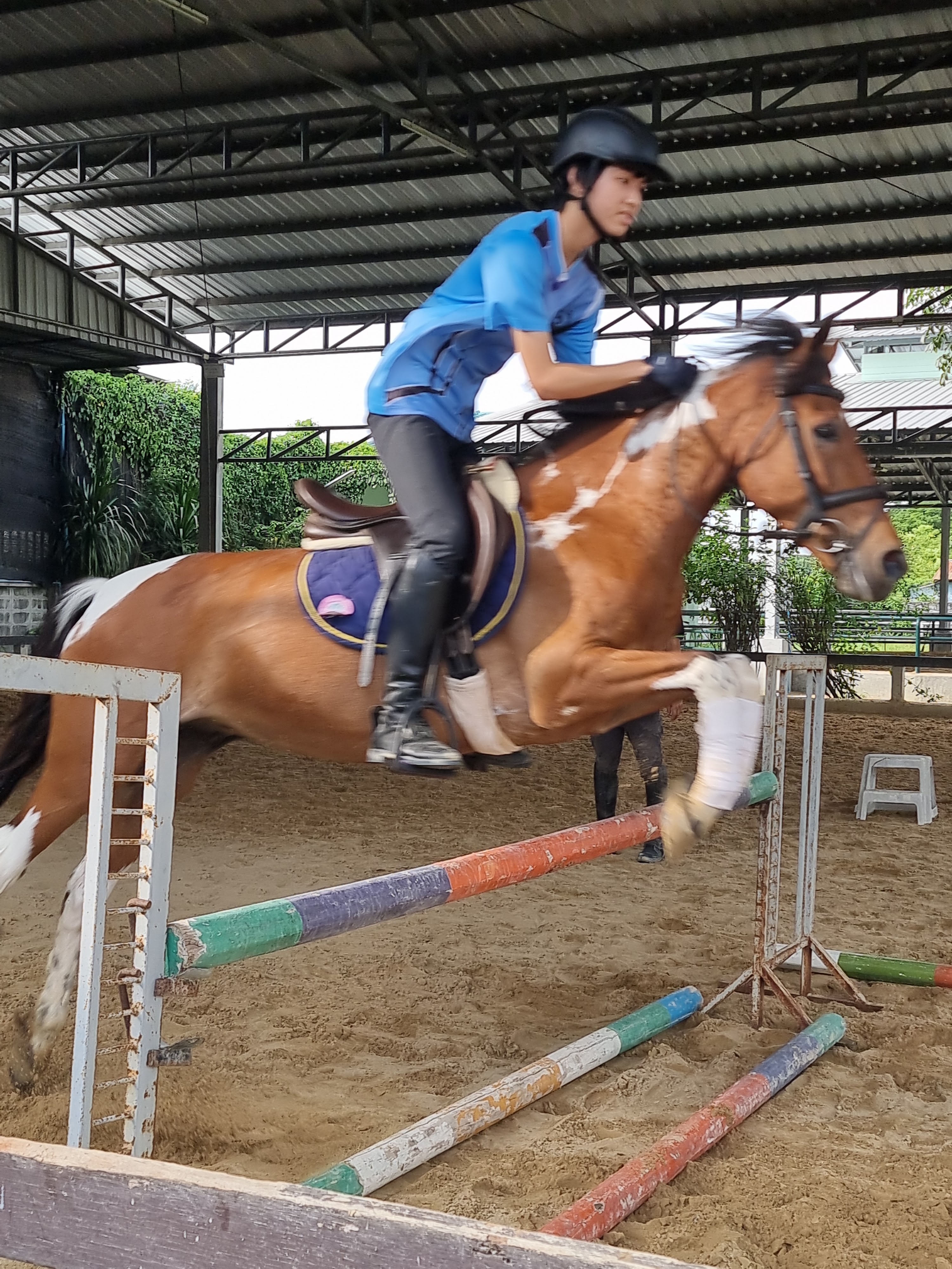 Chomview Bangkok Horse Sports Club