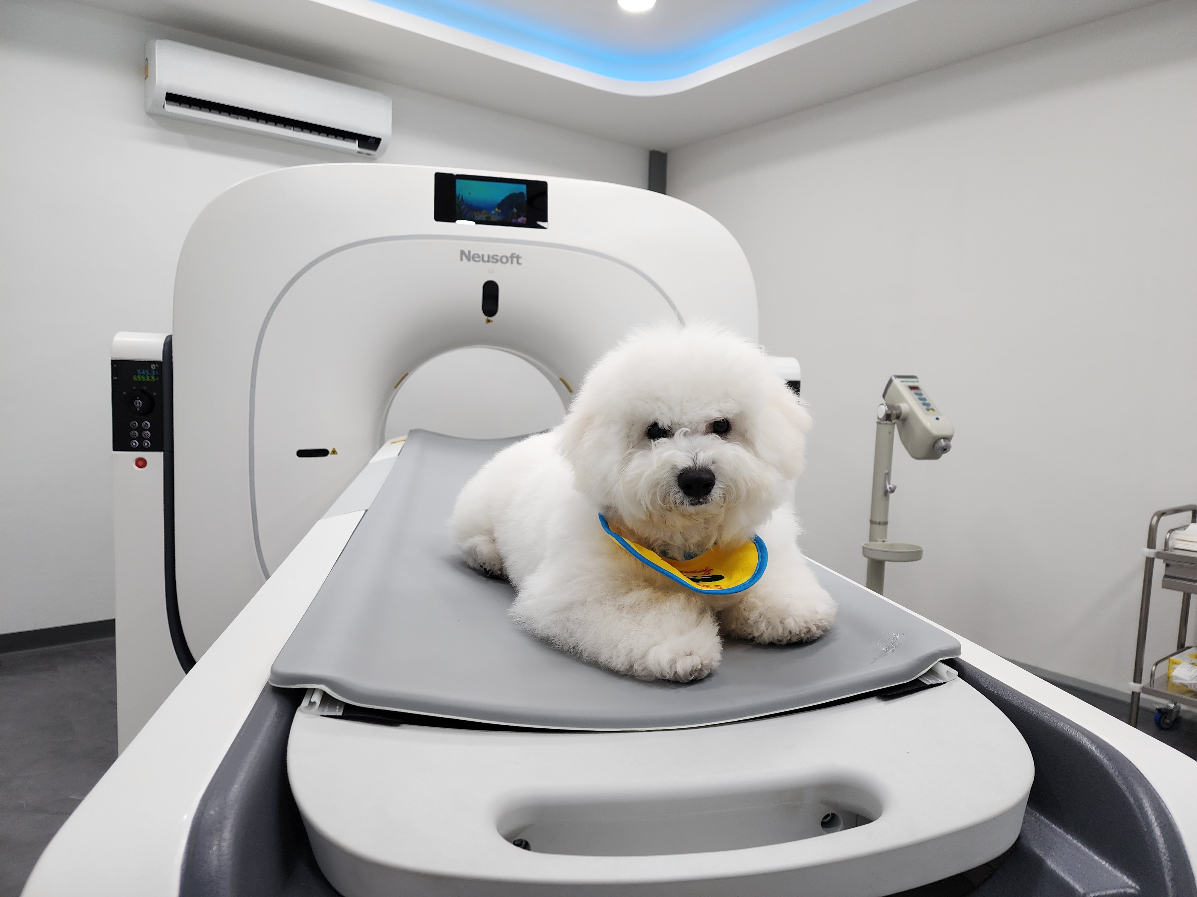 Crystal CT Scan Center