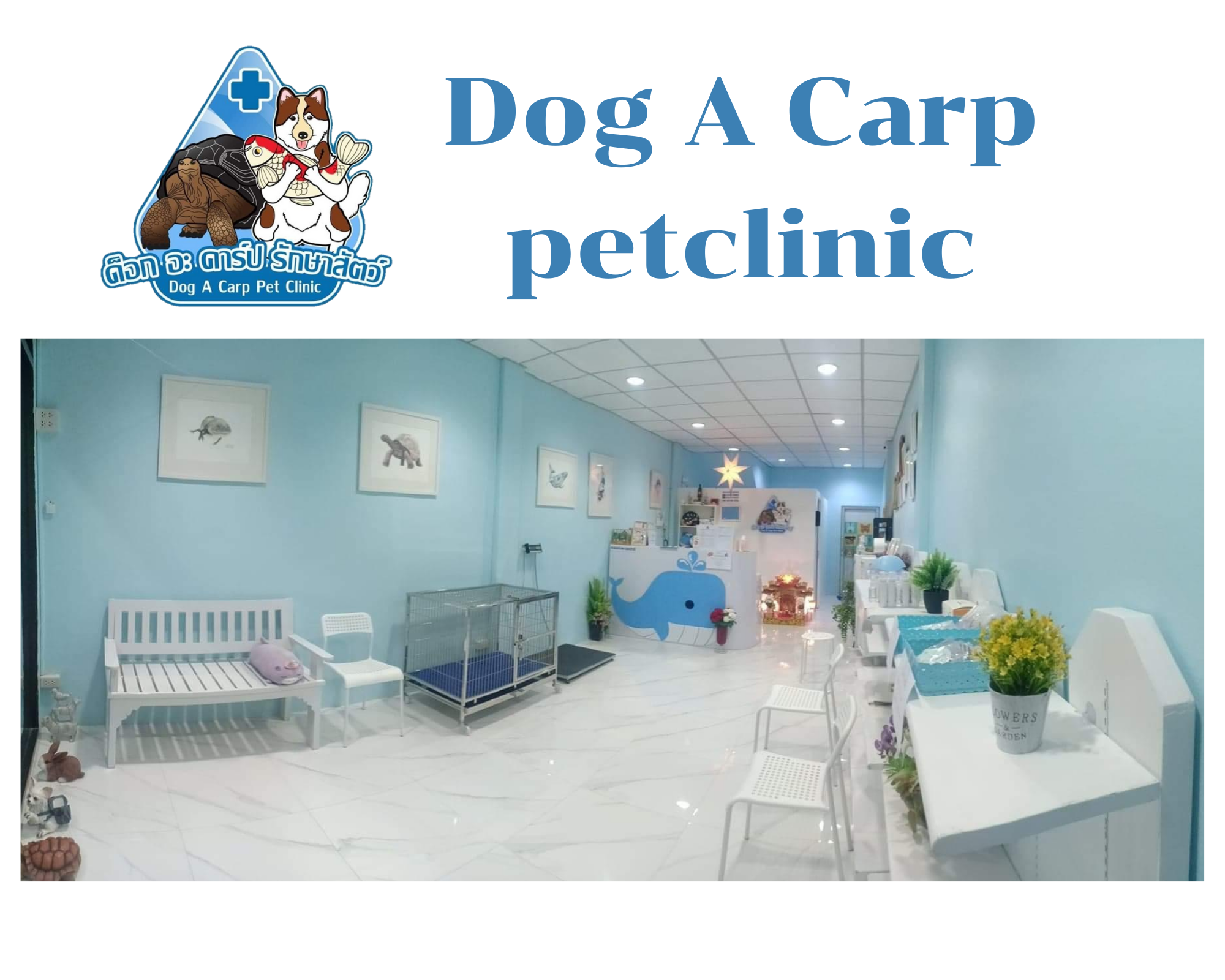 Dog A Carp petclinic